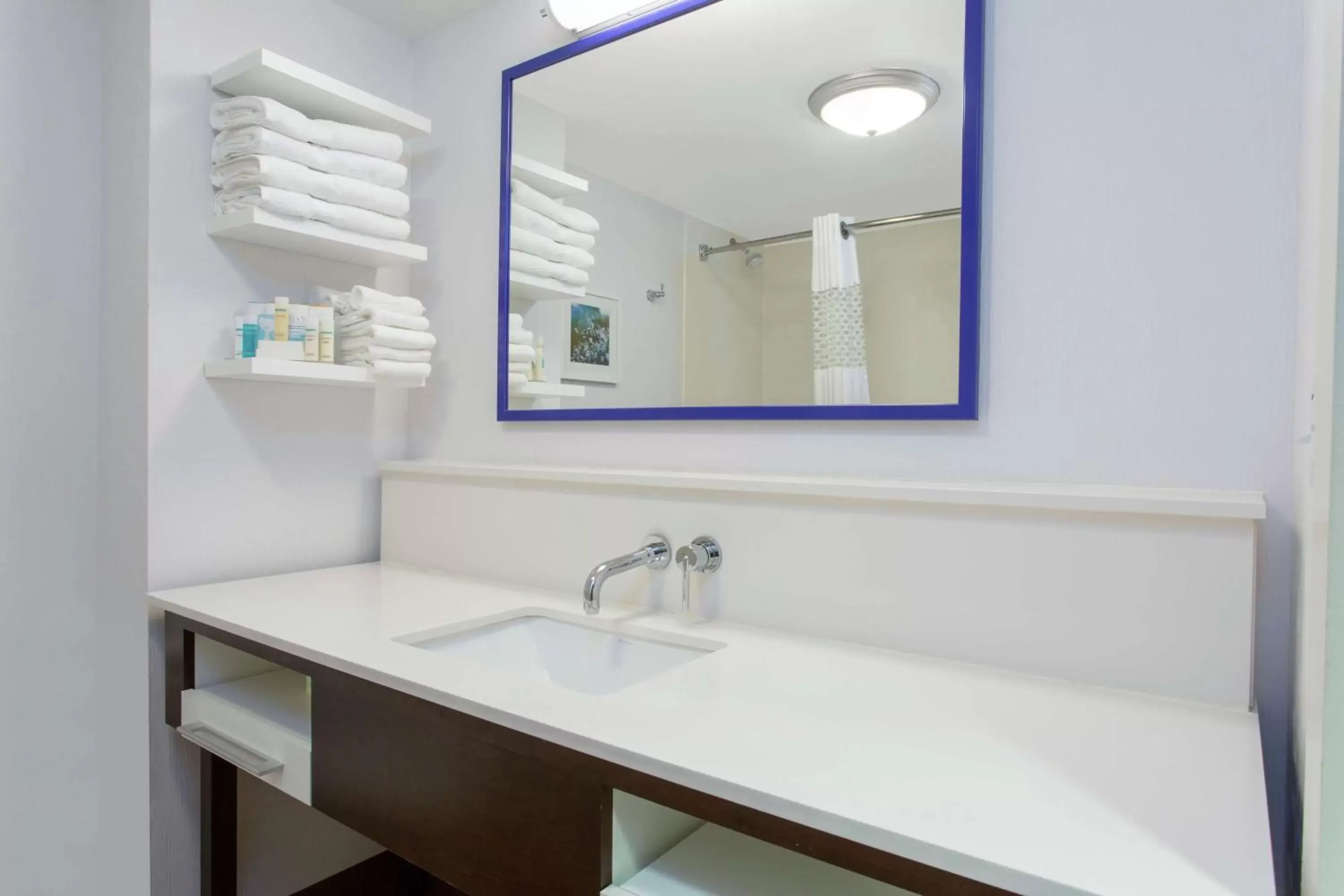 Bathroom in Hampton Inn & Suites Albany-Airport