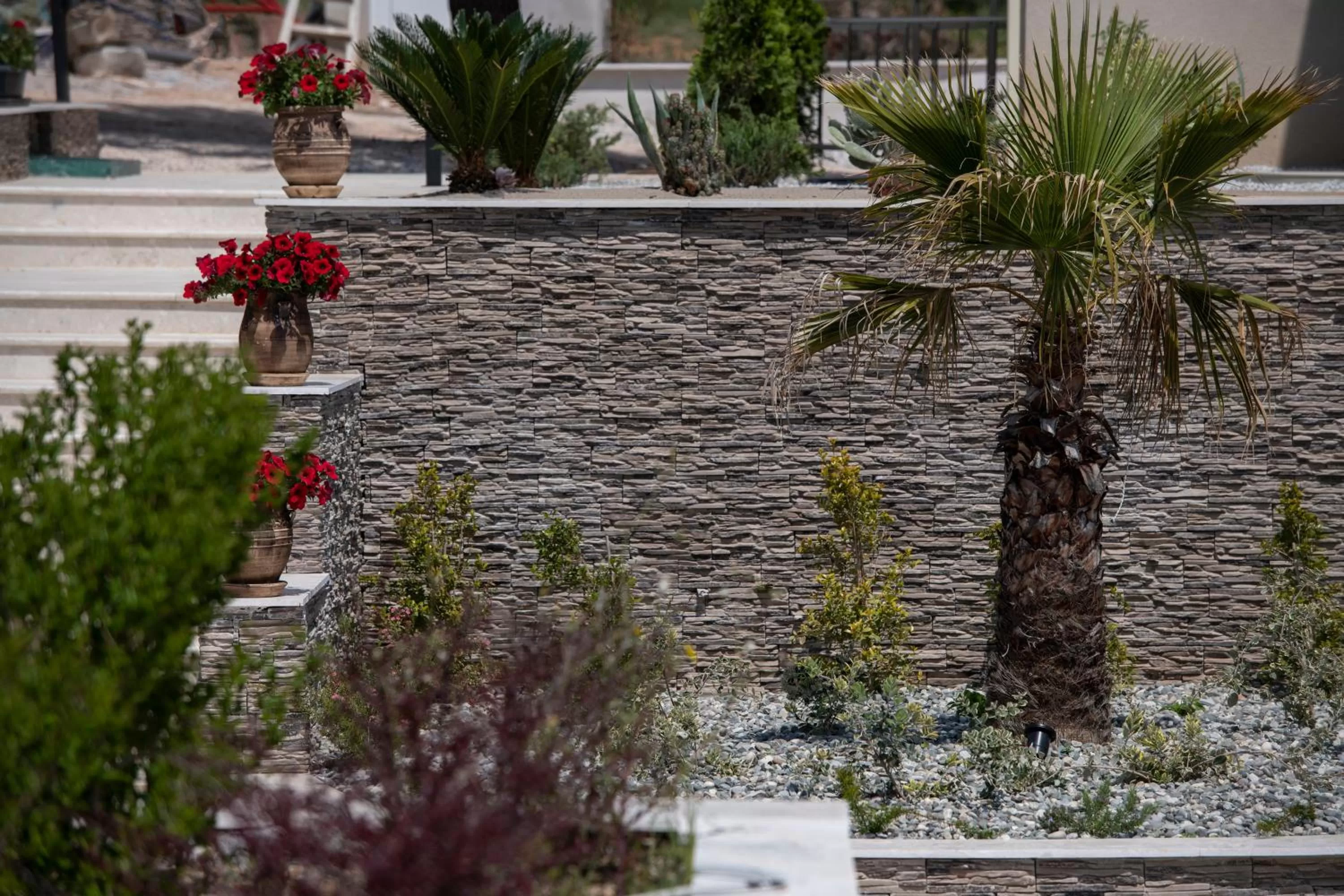 Property building in Villa Sara