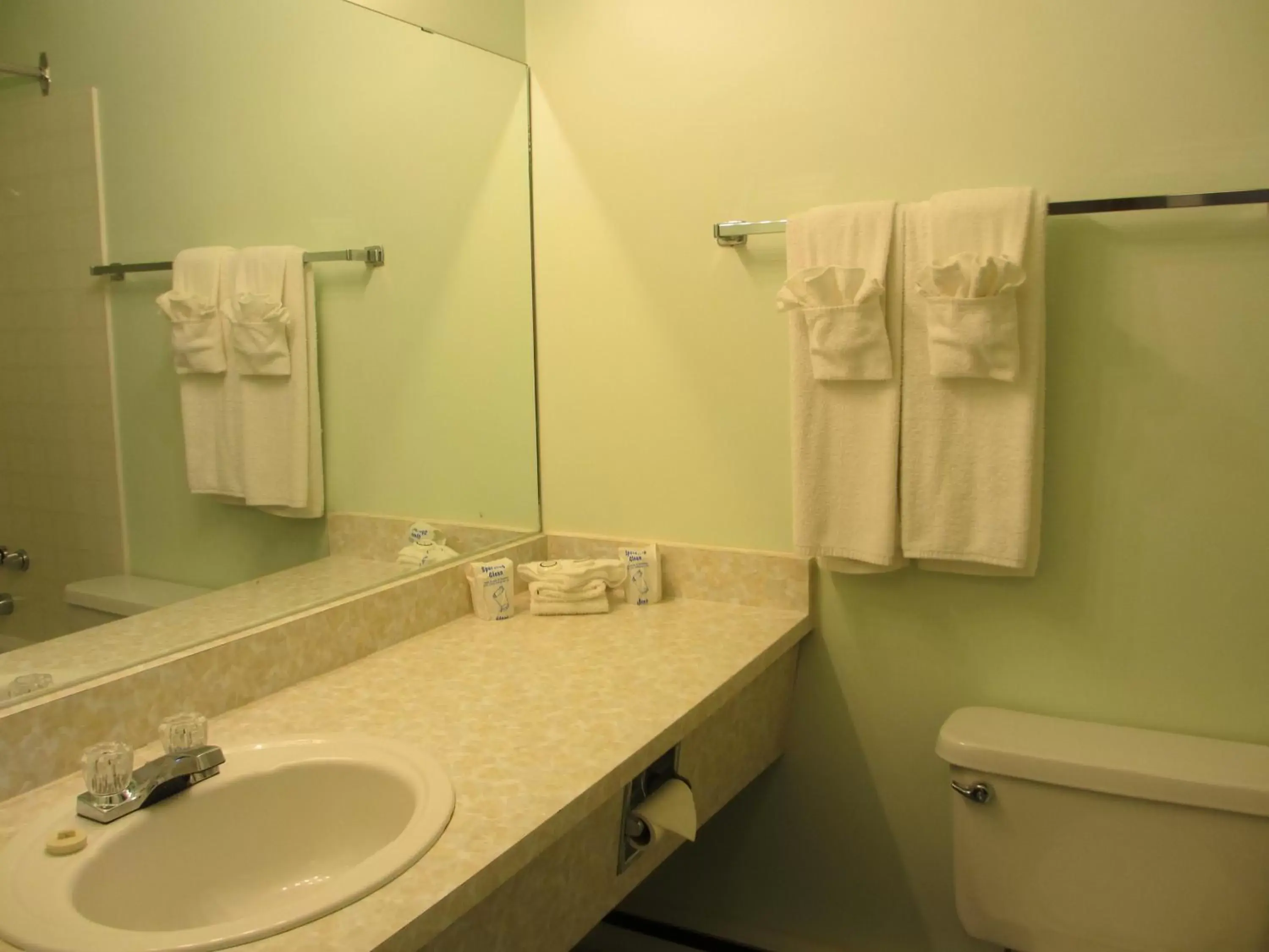 Bathroom in Windsor Motel