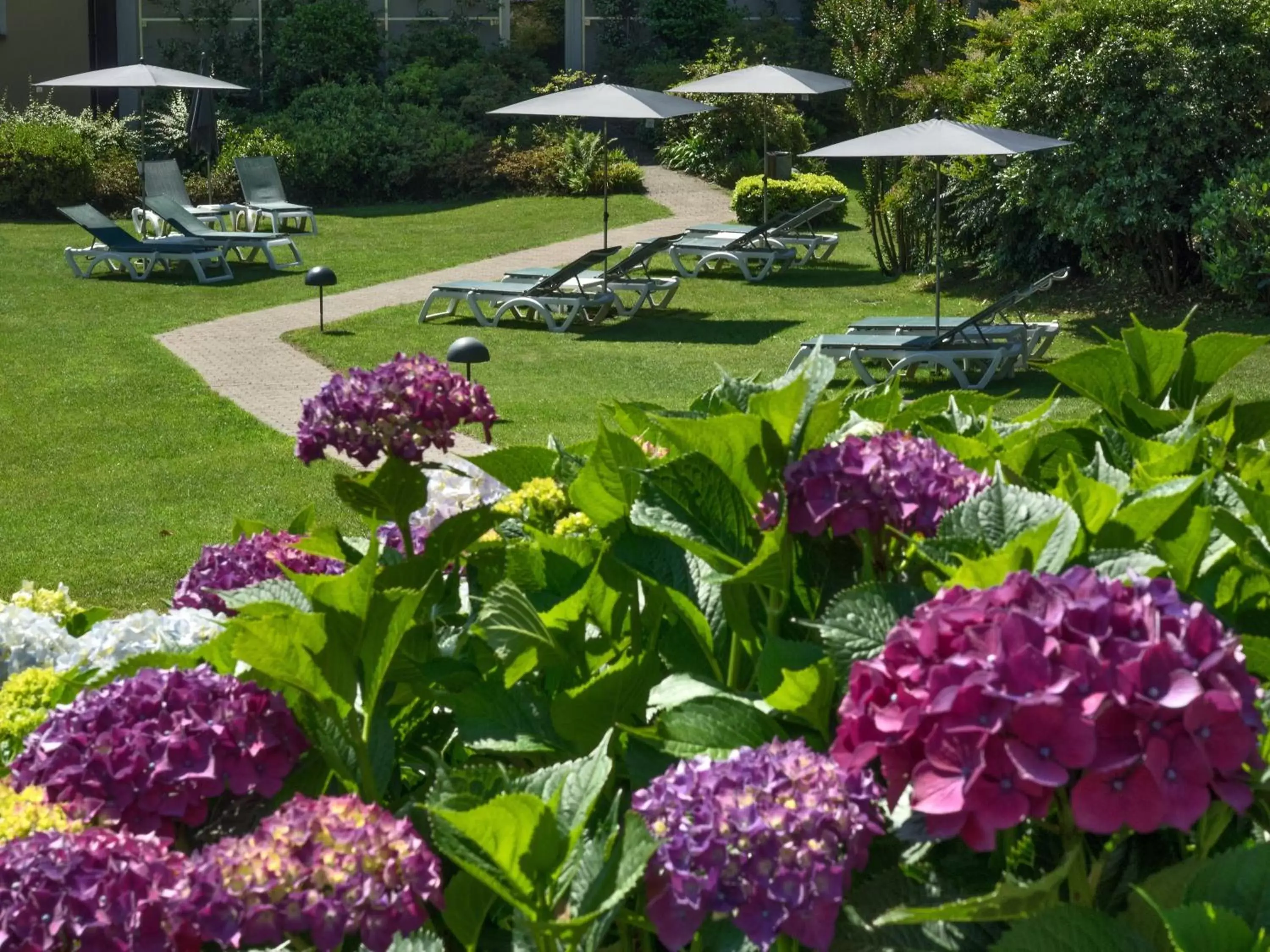 Garden in Hotel Belvedere Locarno