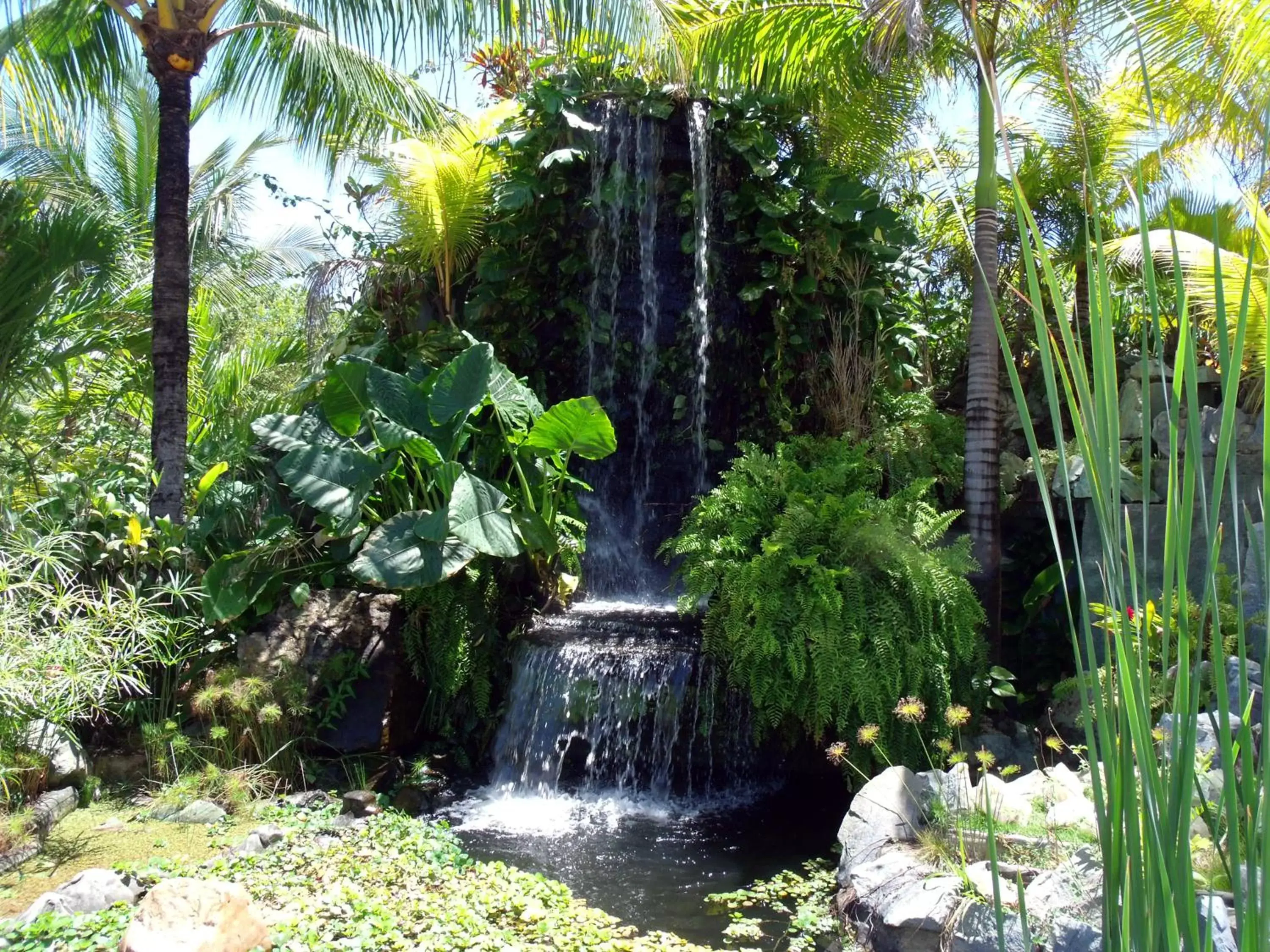 Garden view, Garden in Catussaba Resort Hotel