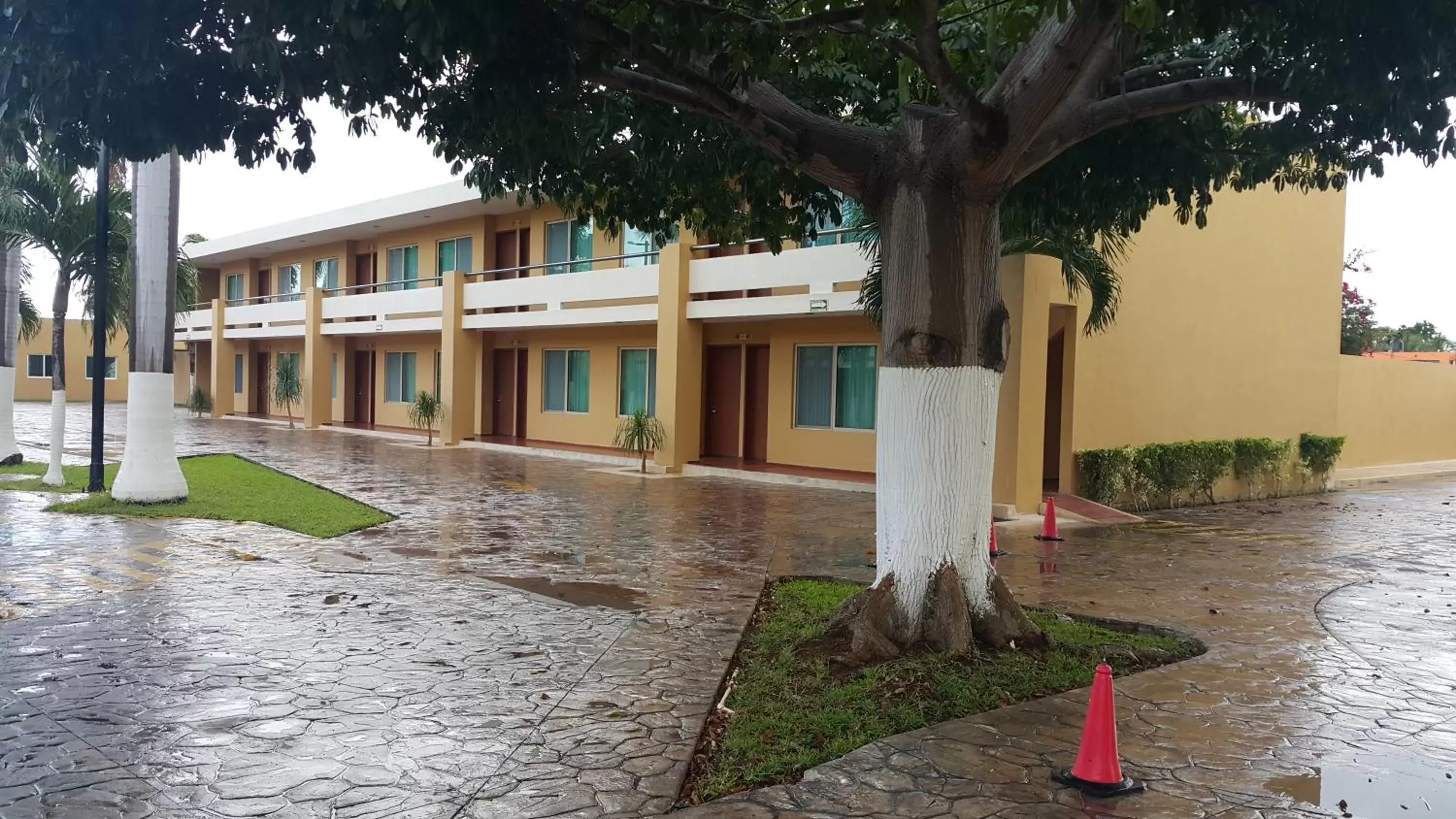 Decorative detail, Patio/Outdoor Area in Tecnohotel Mérida Norte