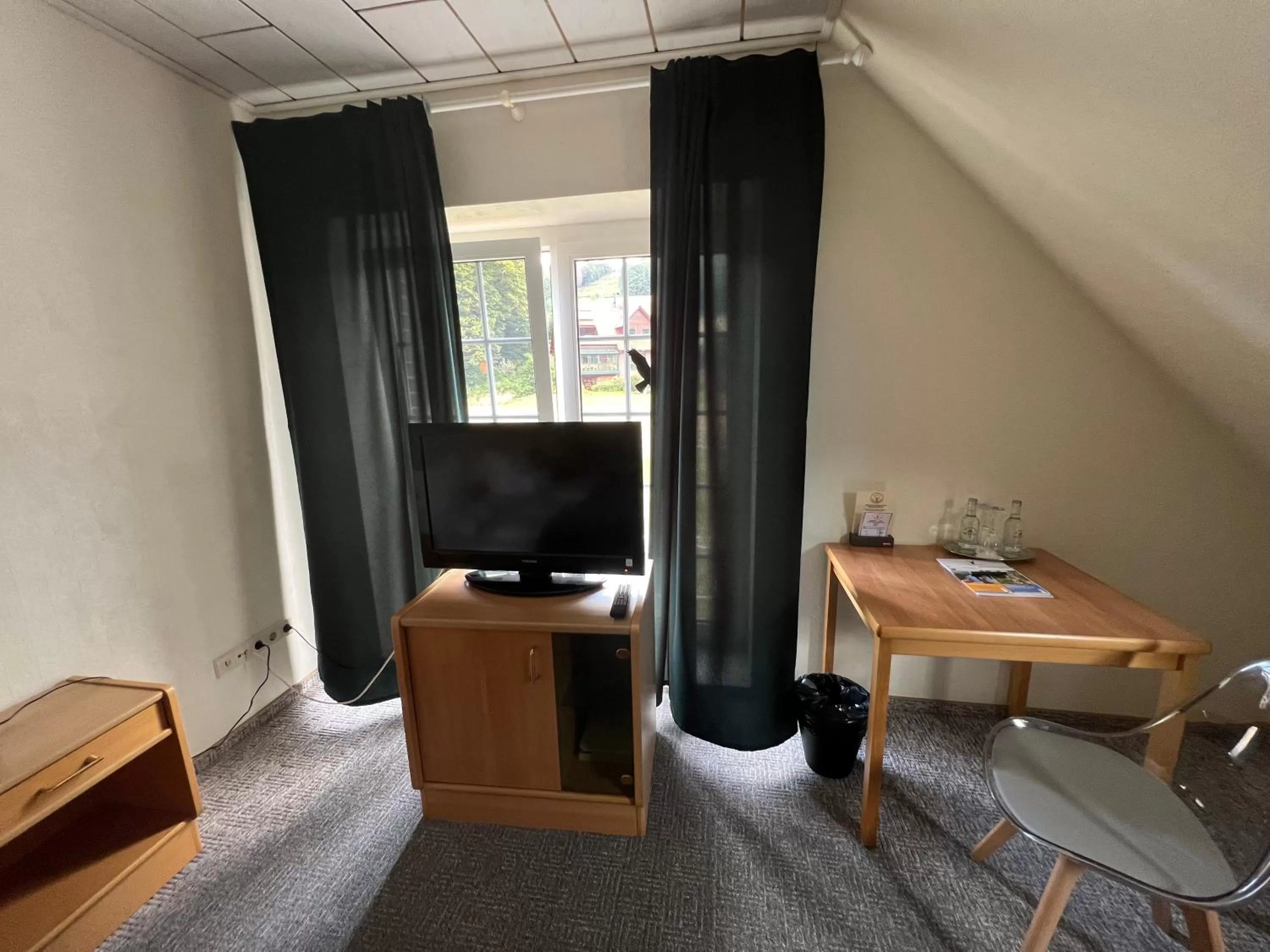 TV and multimedia in Hotel Rehkitz