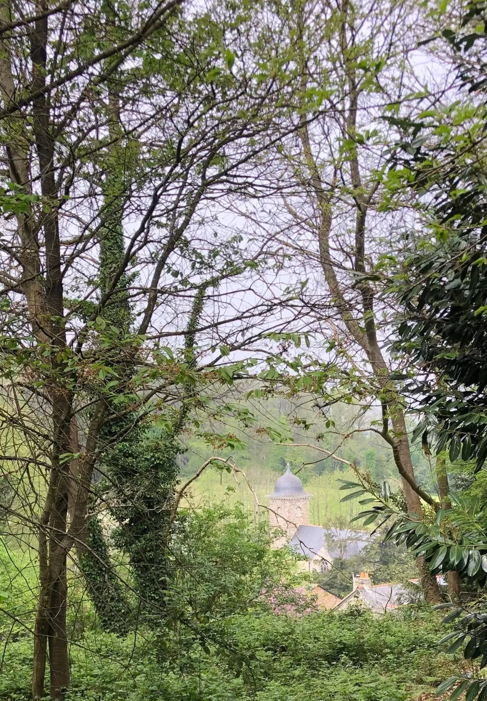 Natural landscape in Fleurs de lin