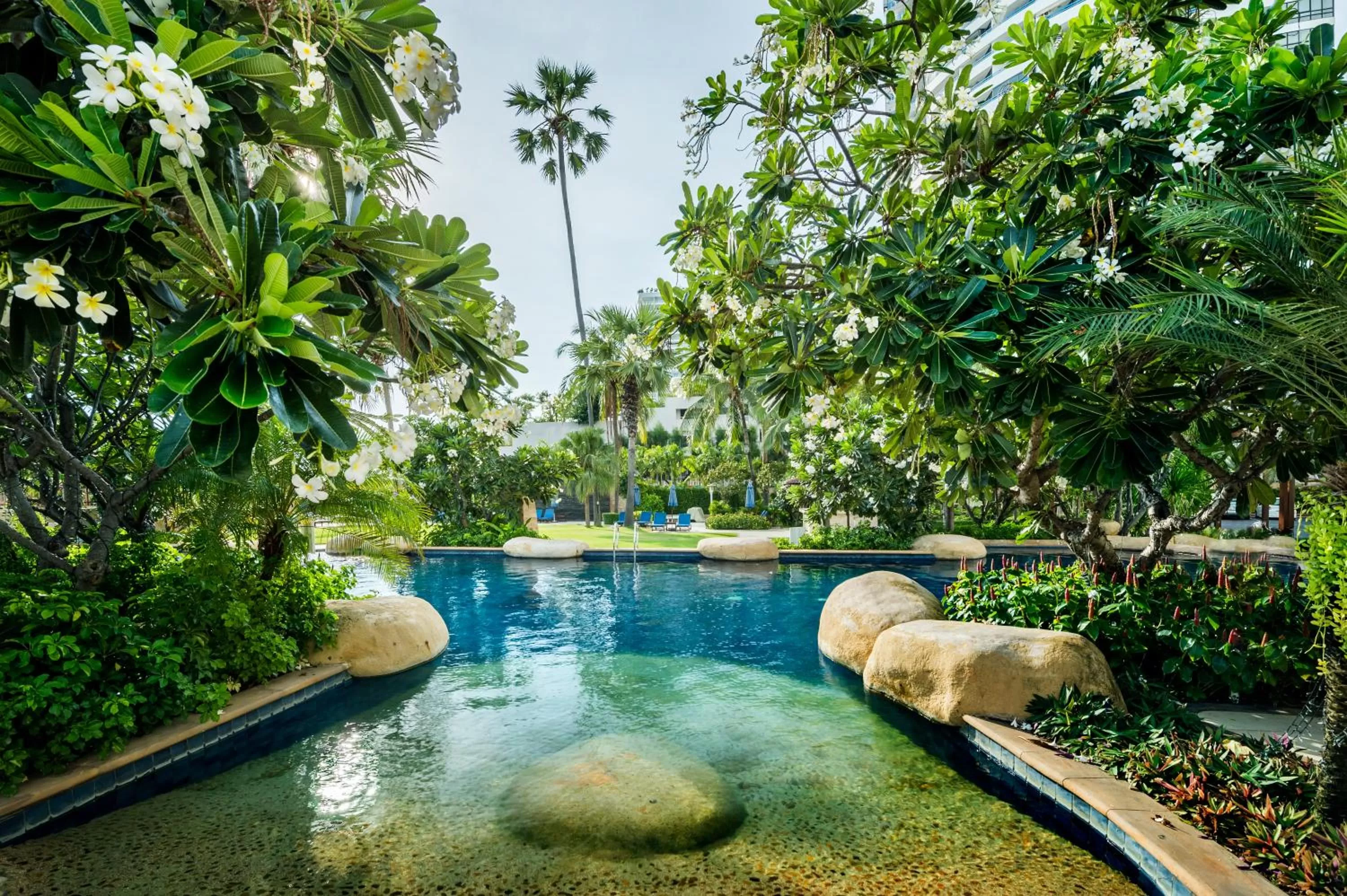 Swimming pool in Jomtien Palm Beach Hotel and Resort