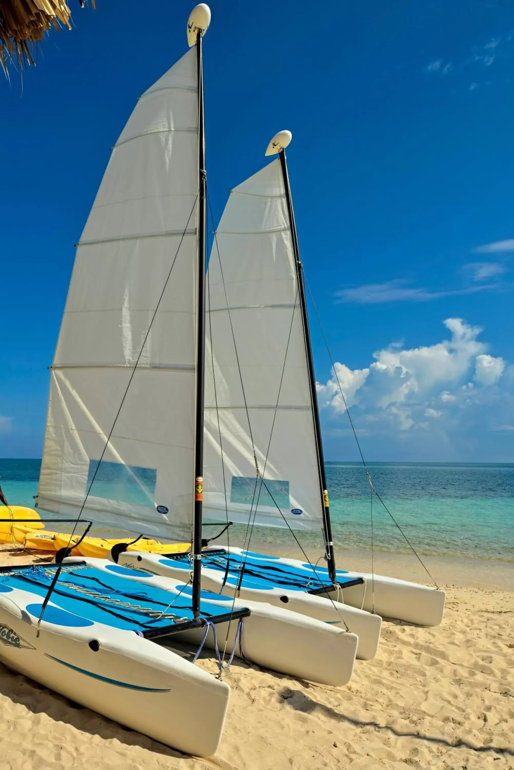 Canoeing, Windsurfing in Iberostar Selection Rose Hall Suites