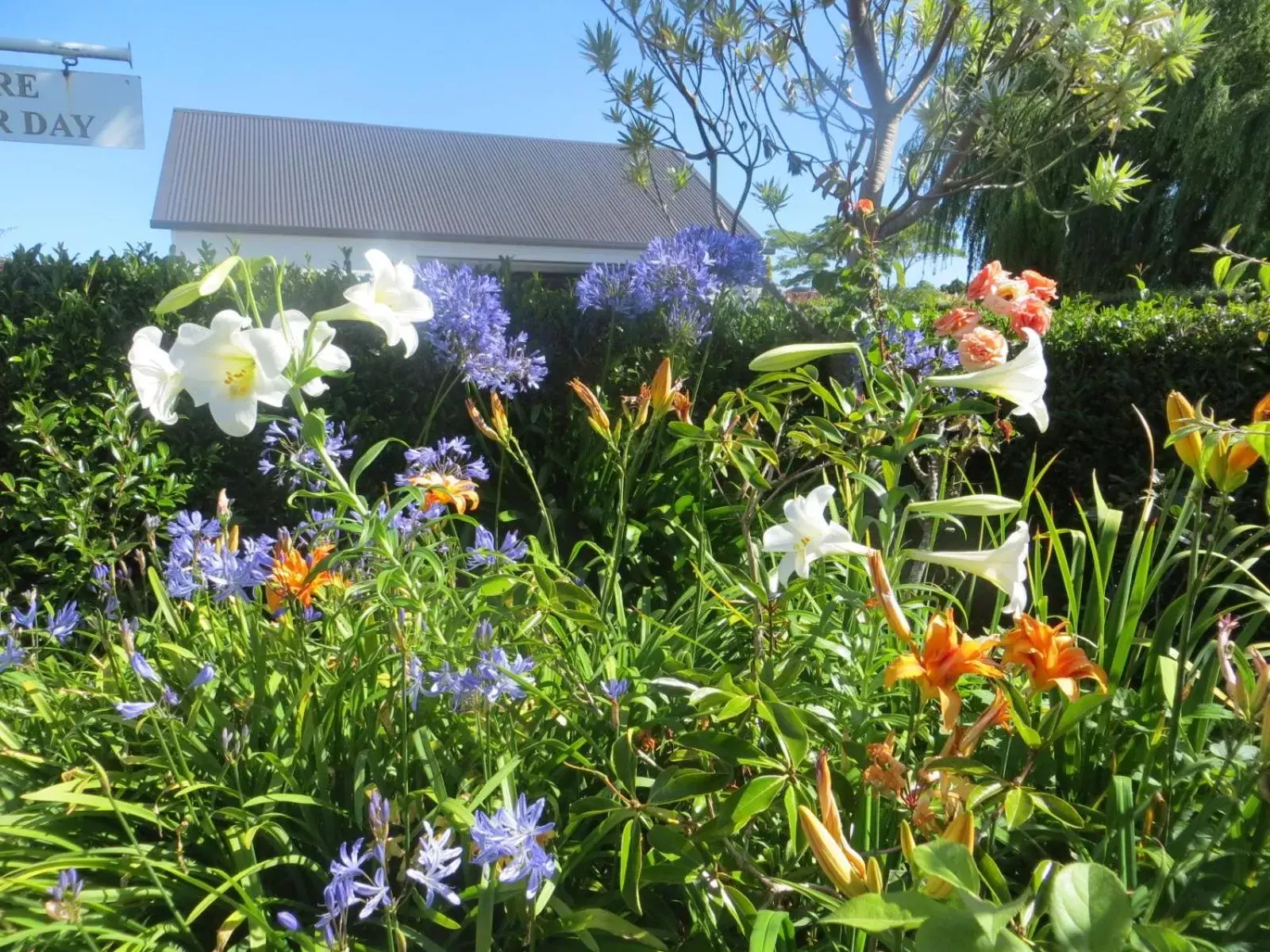 Garden in Cotswold Cottage Bed and Breakfast