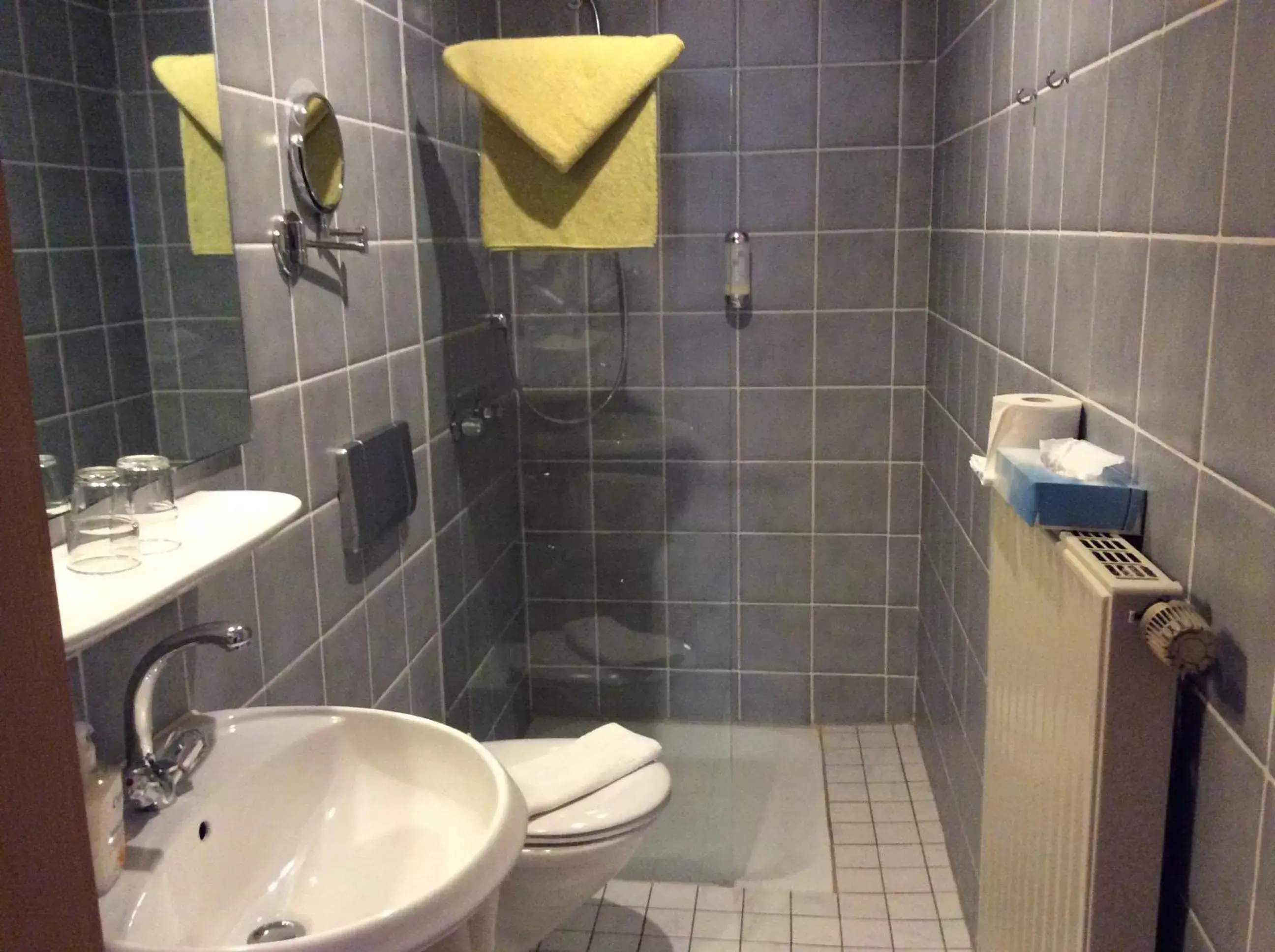 Shower, Bathroom in Hotel Gerberhaus