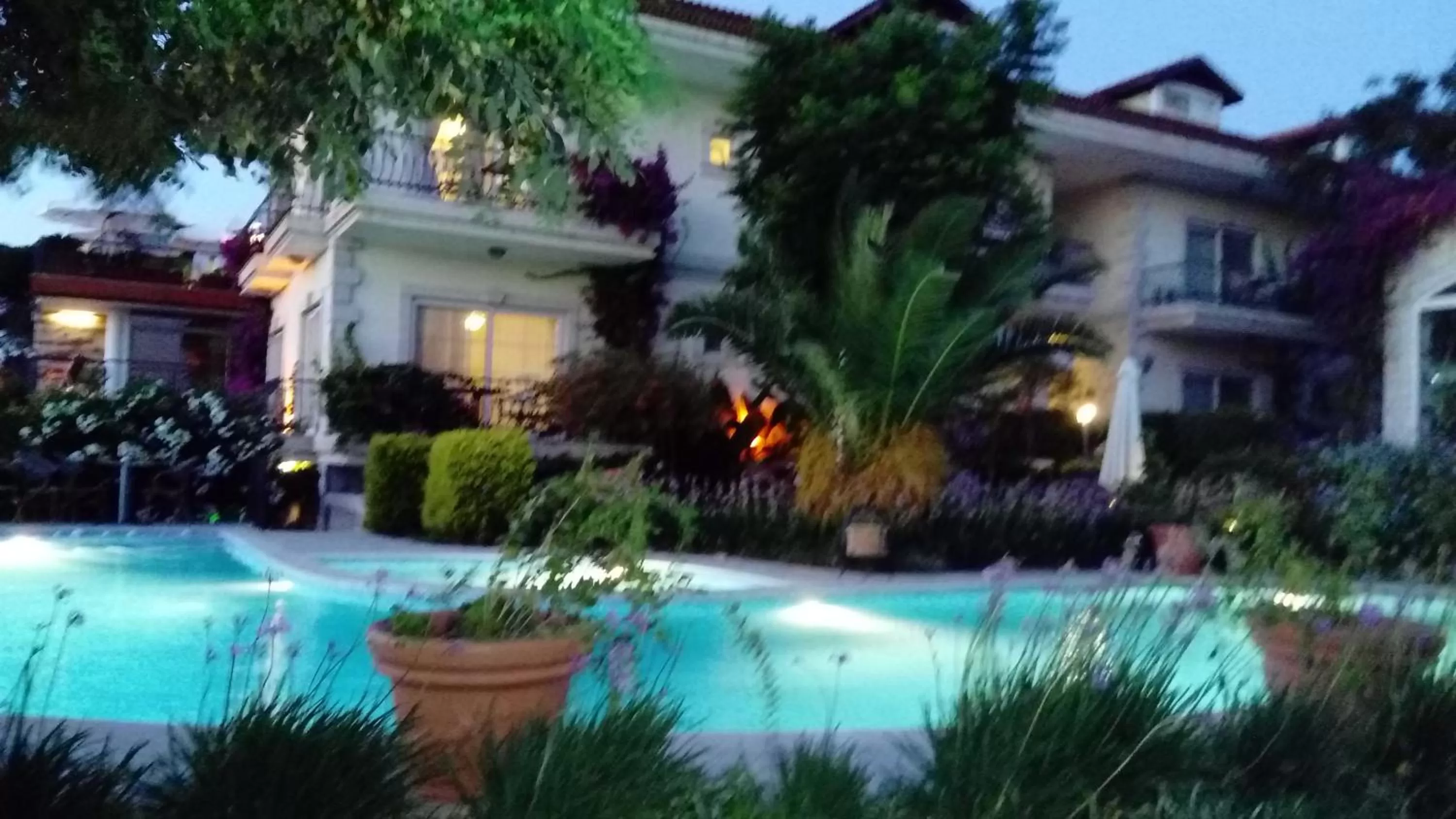 Garden, Swimming Pool in Dolina Hotel
