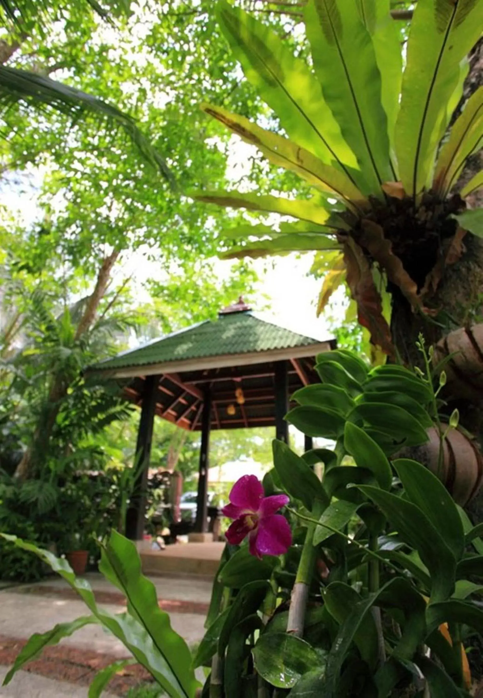 Garden in Vipa Tropical Resort