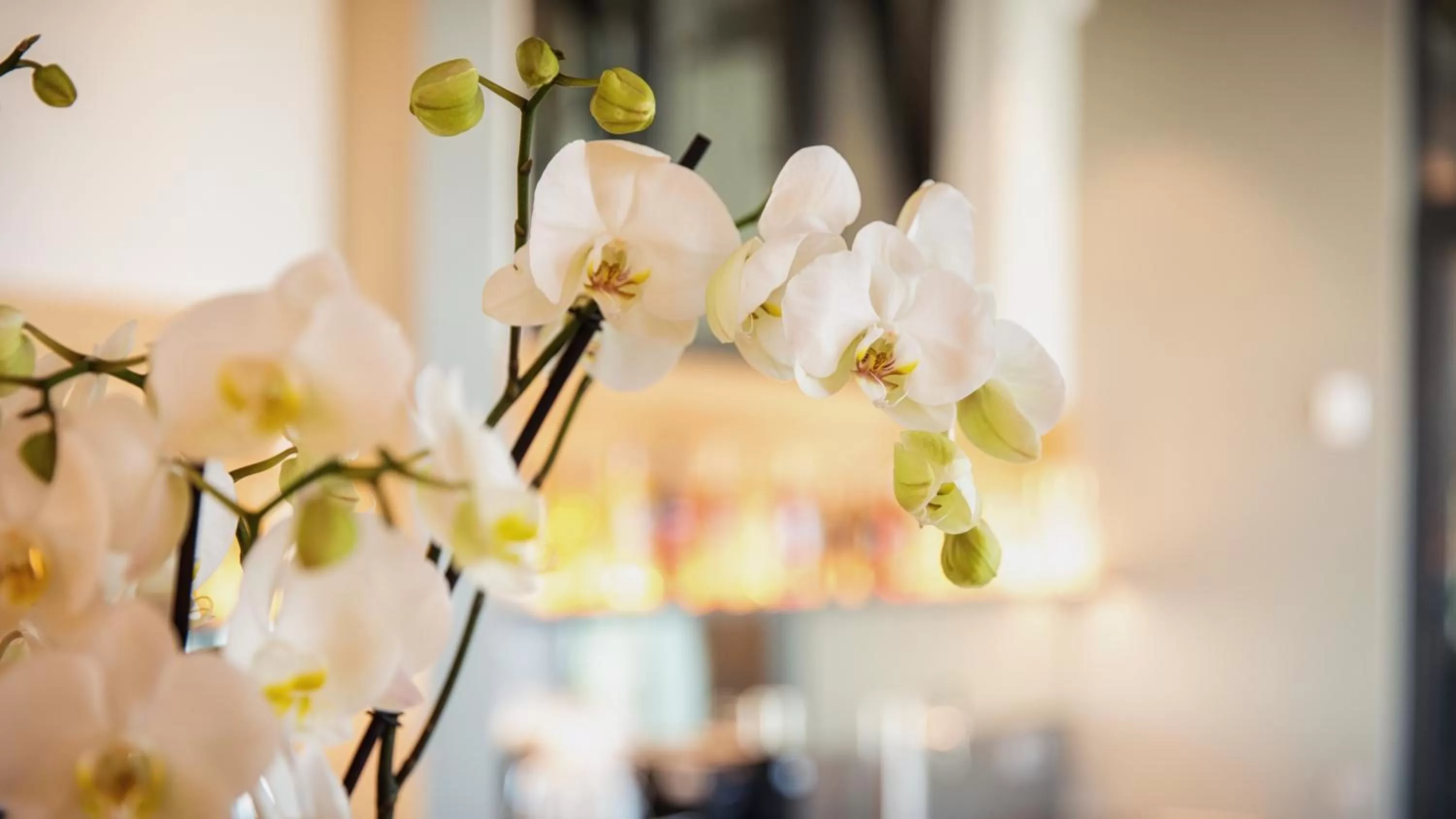 Lobby or reception in Heuboden Hotel Heu.Loft Freiburg
