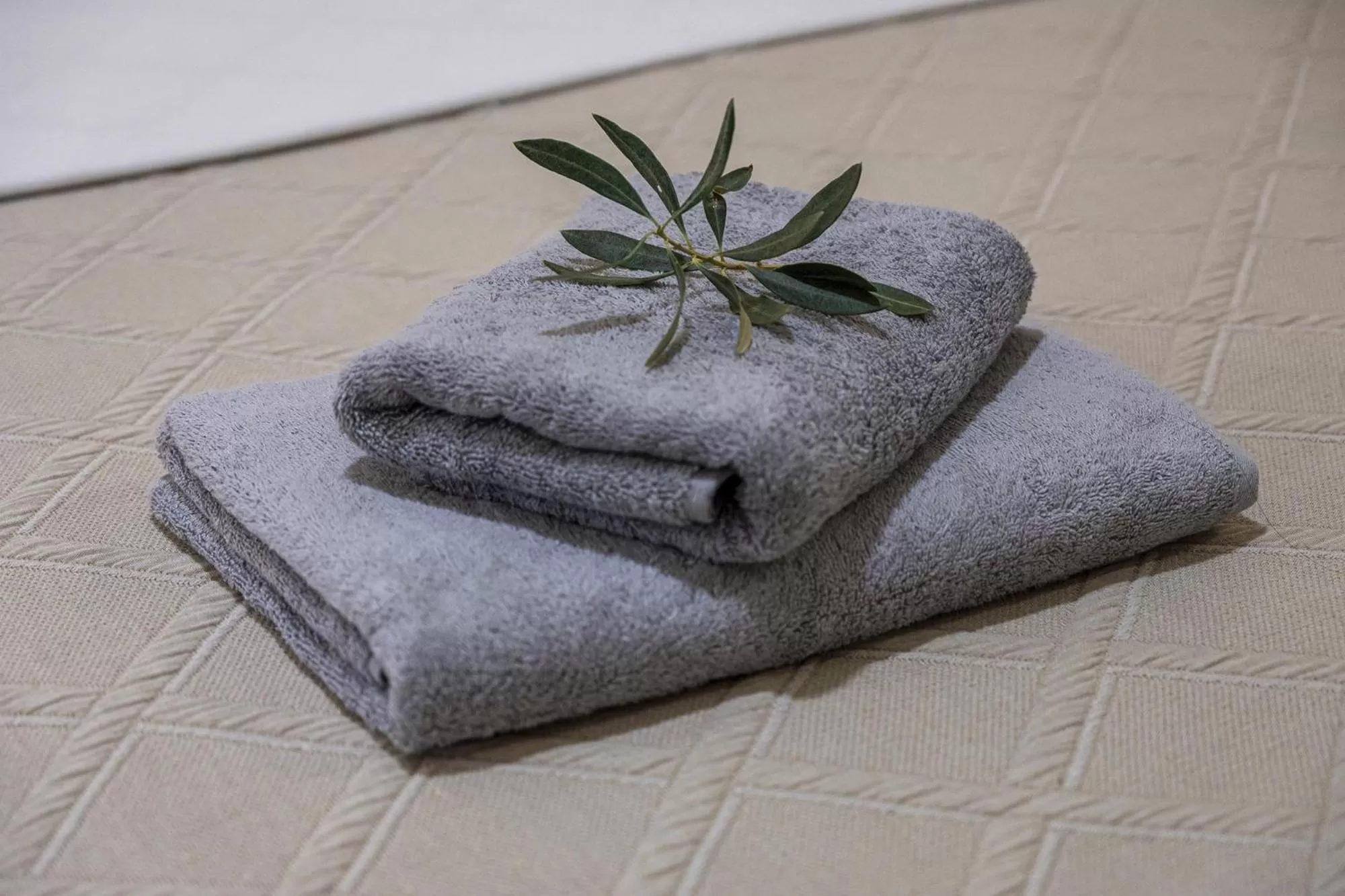 Comfort Stay Athens Airport Hotel - FREE shuttle from and to the airport