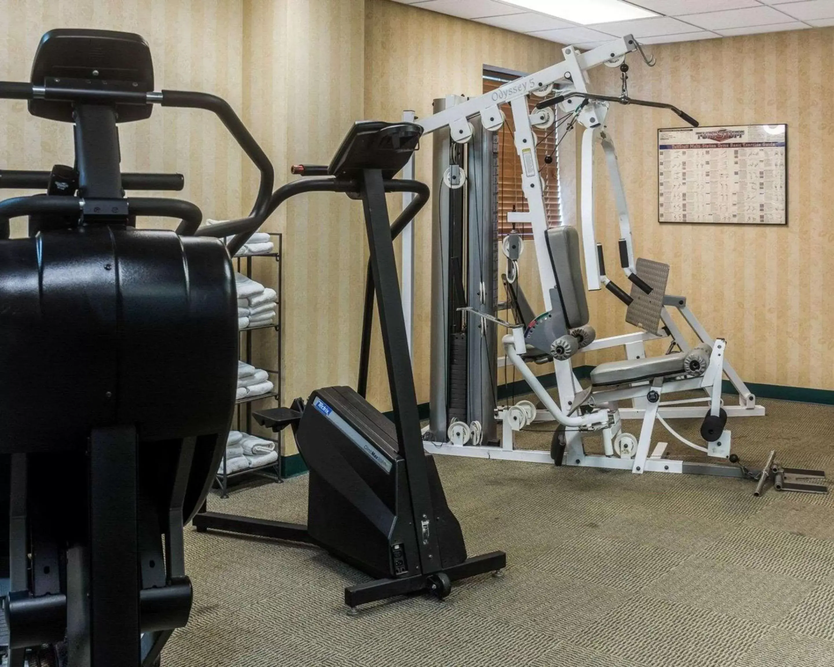 Fitness centre/facilities, Fitness Center/Facilities in Quality Suites Lake Wright Norfolk Airport