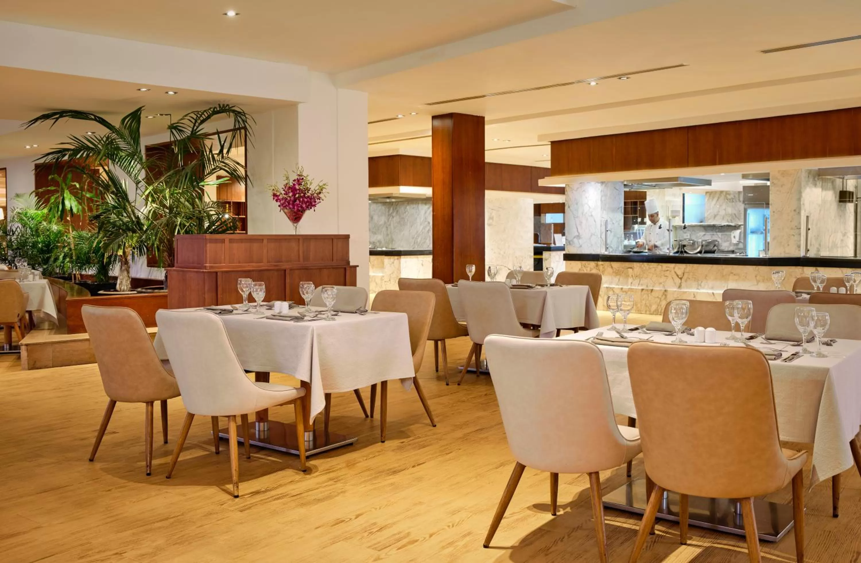 Restaurant/places to eat in Coral Sea Imperial "Coral Sea Sensatori"