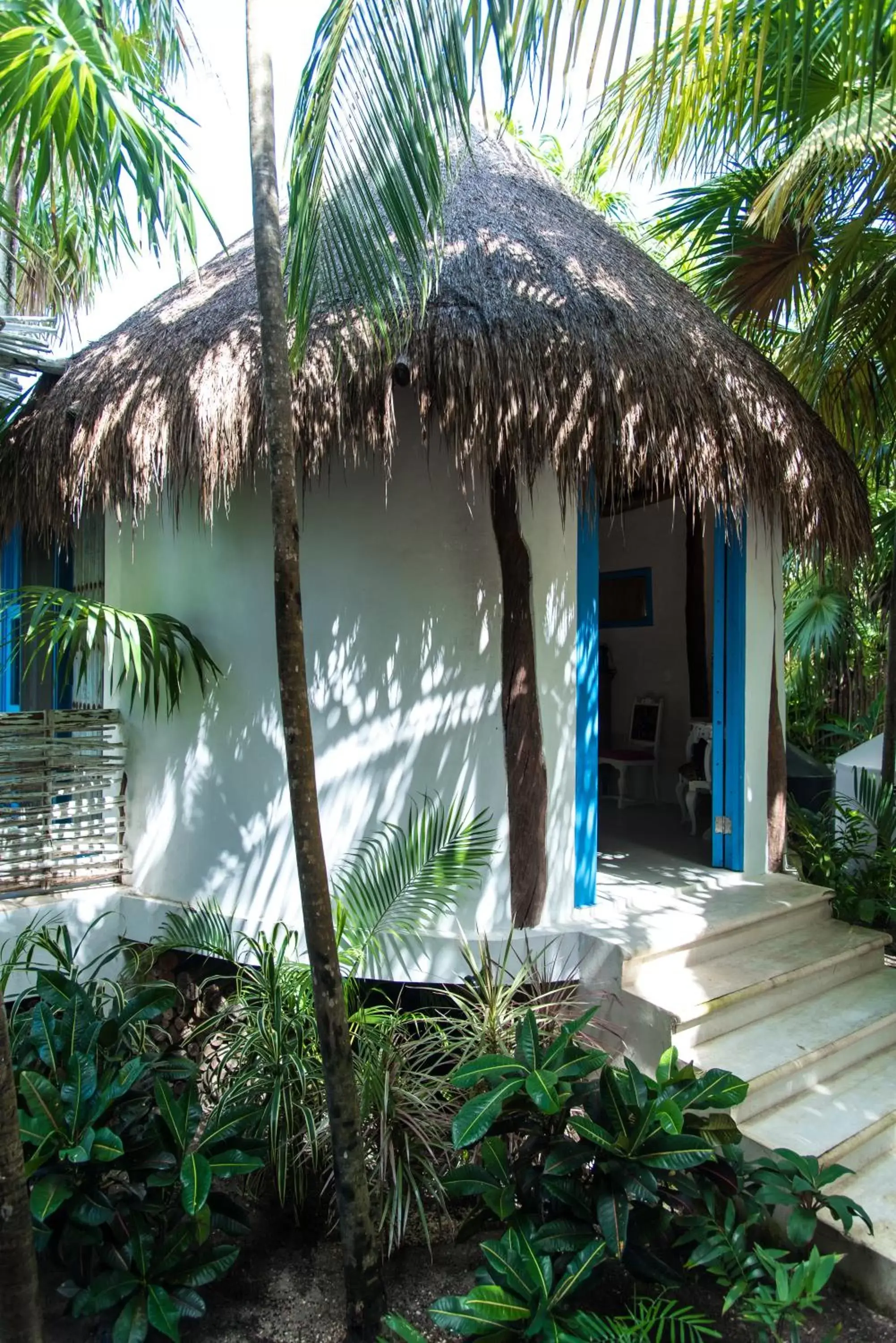 Garden in Cormoran Boutique Hotel & Private Cenote Tulum