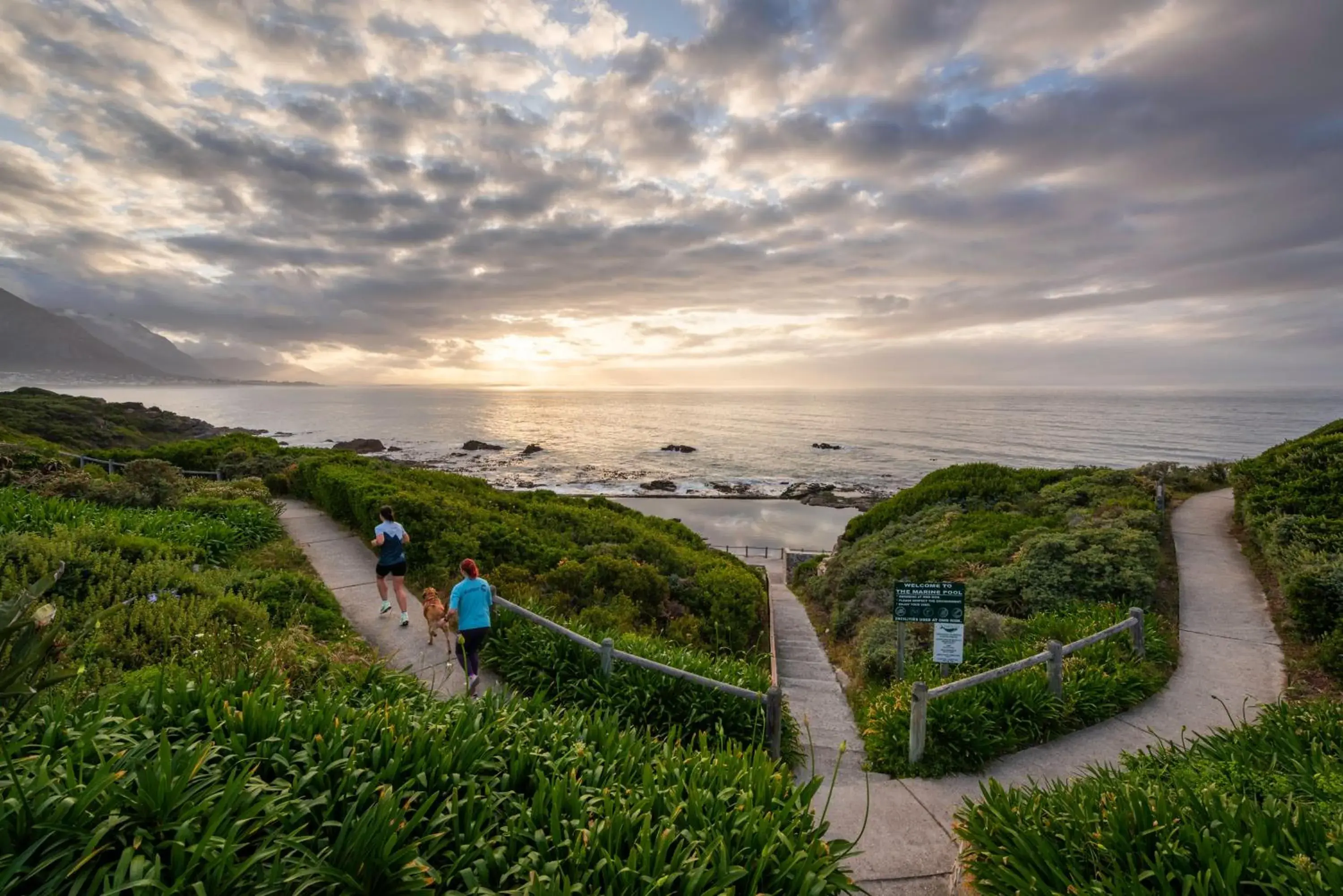 Activities in The Marine Hermanus