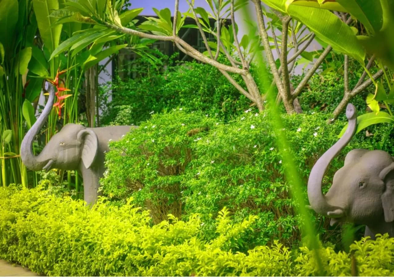 Spa and wellness centre/facilities, Other Animals in Ladear Privilege Rooms