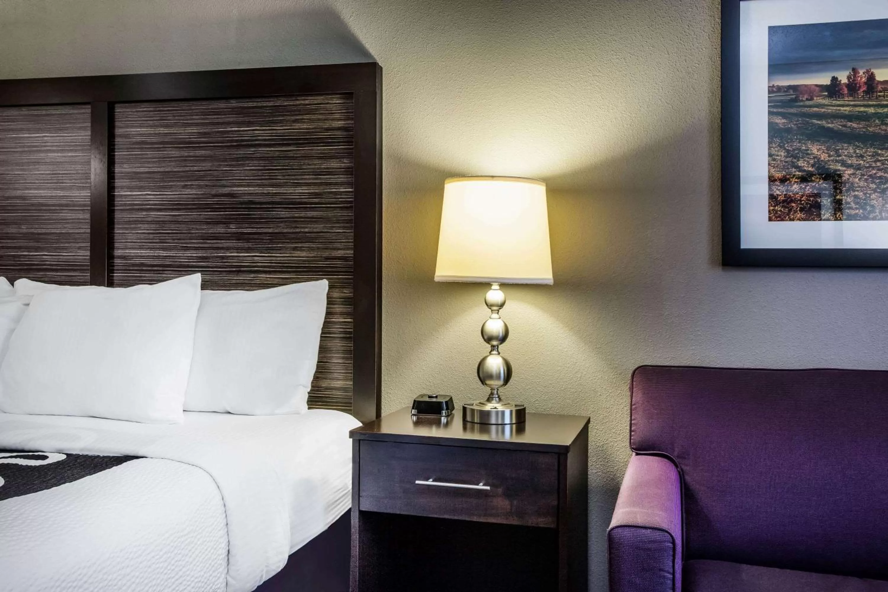 Photo of the whole room, Bed in La Quinta by Wyndham Lynchburg at Liberty Univ.