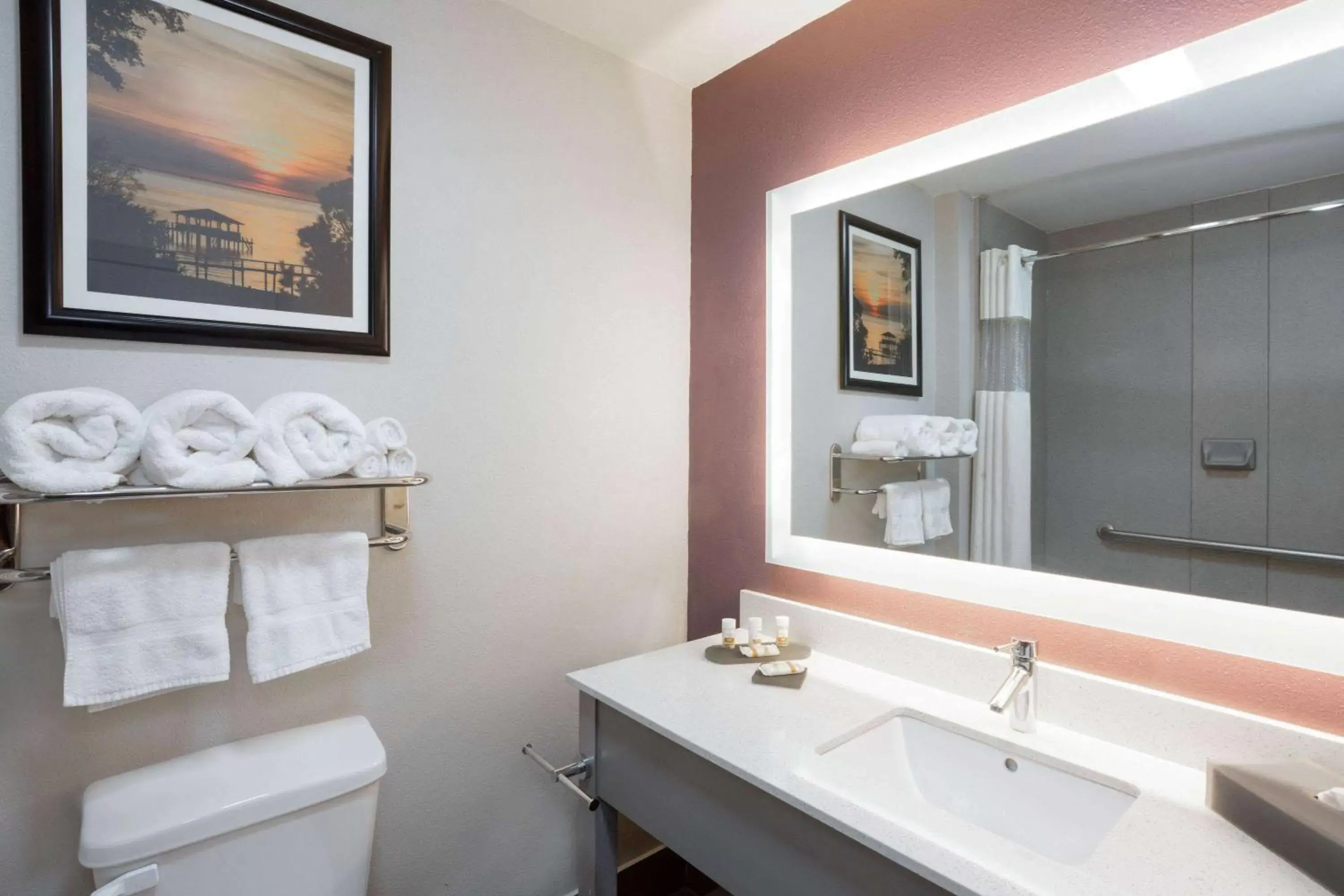 Bathroom in La Quinta by Wyndham Mobile - Daphne