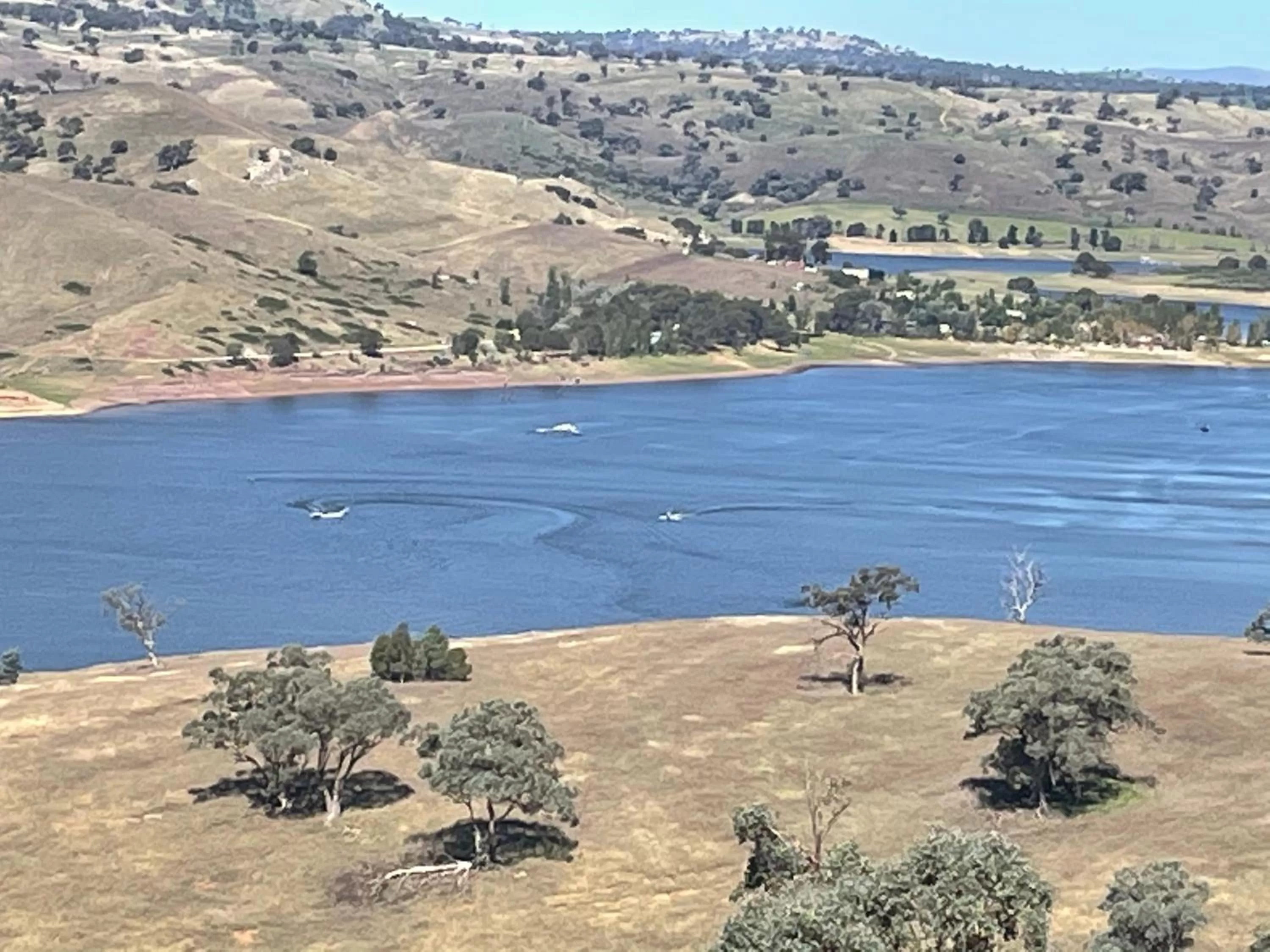 Amazing Views Pet Friendly Bed and Breakfast