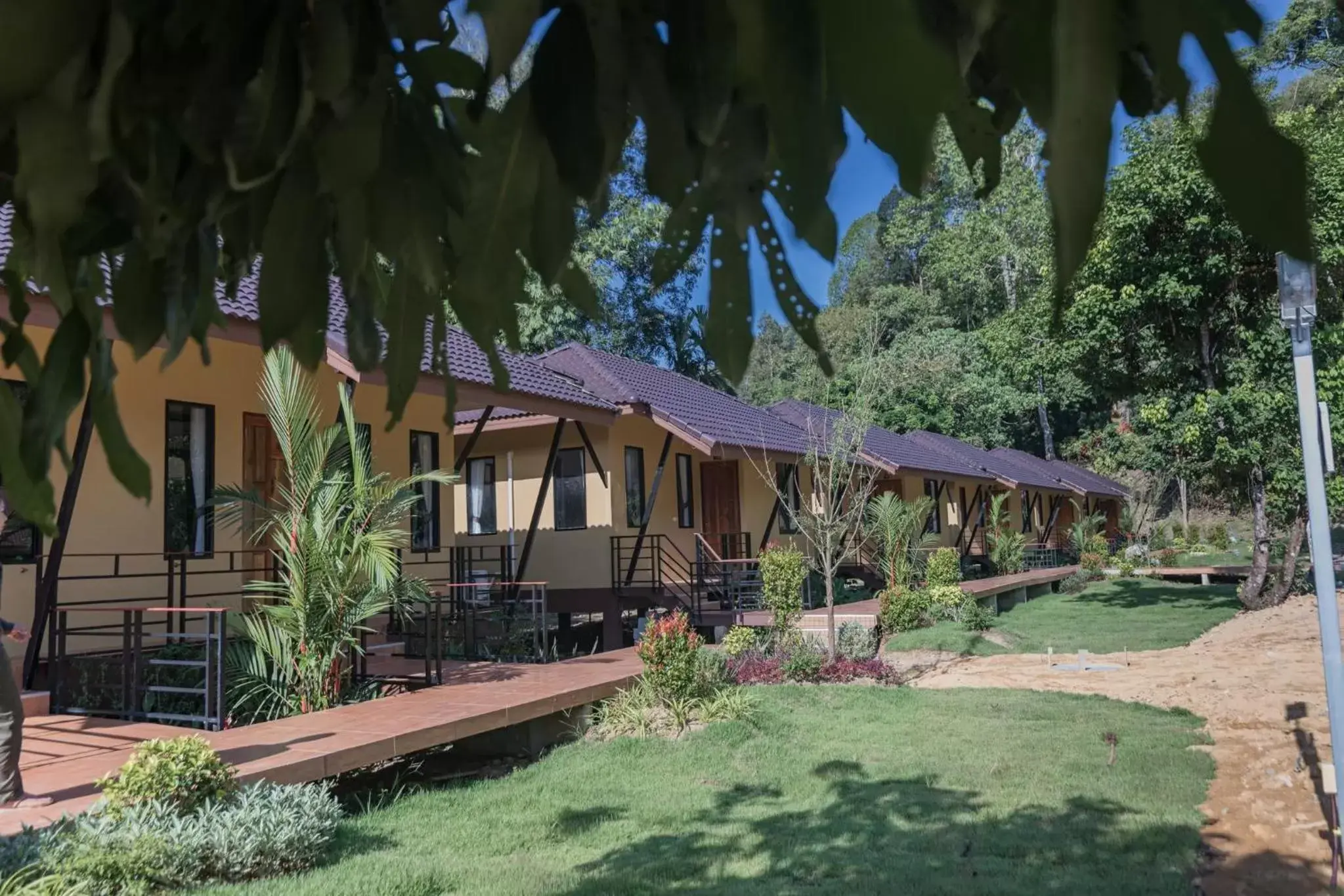 Property Building in Khaosok Rainforest Resort