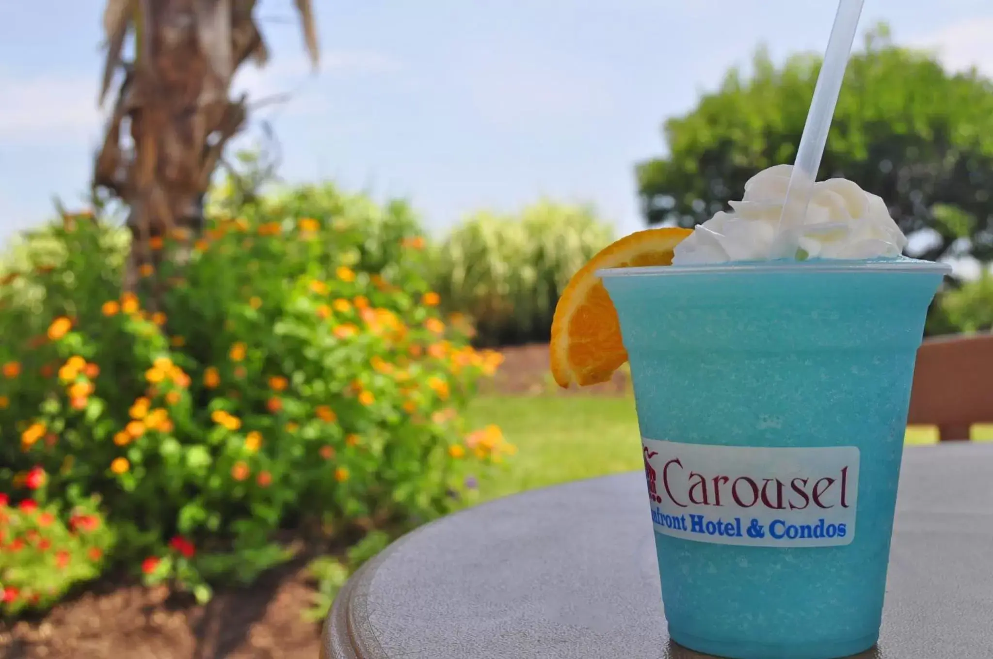 Lounge or bar in Carousel Resort Hotel and Condominiums Lounge or bar in Carousel Resort Hotel and Condominiums