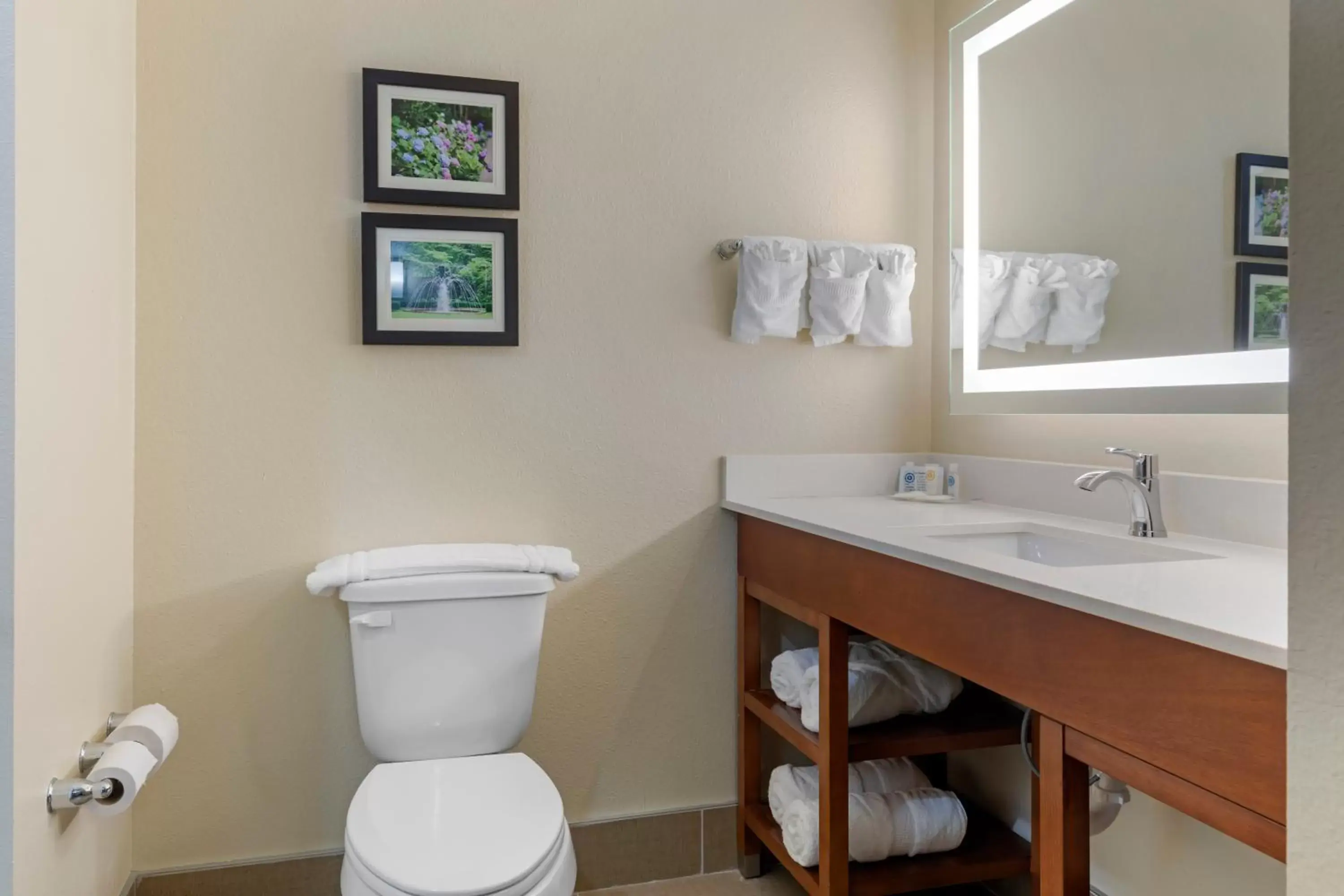 Bathroom in Comfort Suites West Monroe near Ike Hamilton Expo Center