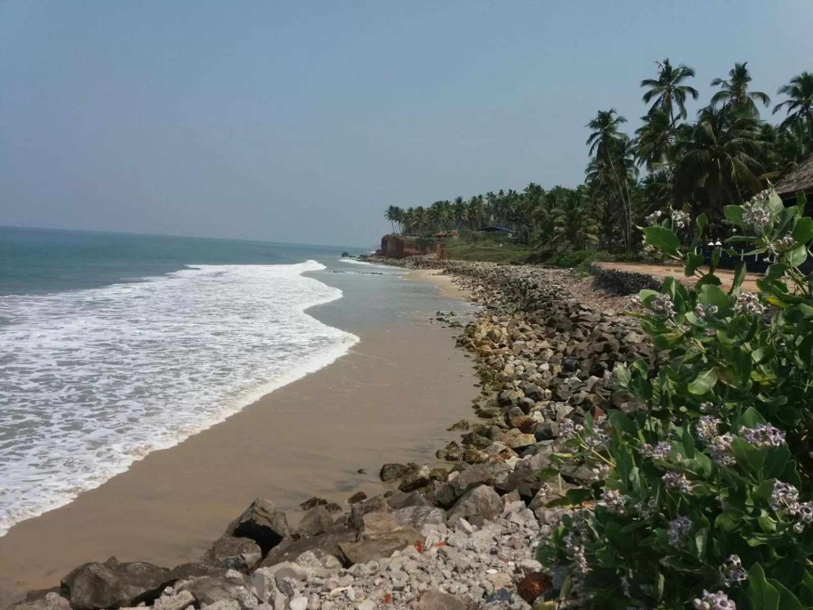 Natural landscape in Sukriti beach Resort