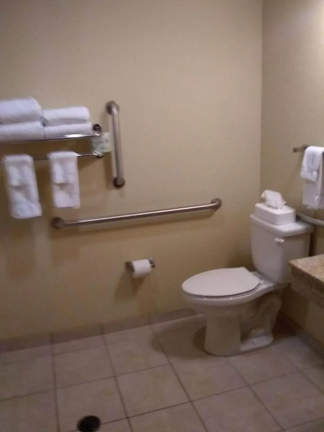 Toilet, Bathroom in Cobblestone Inn & Suites - Marquette