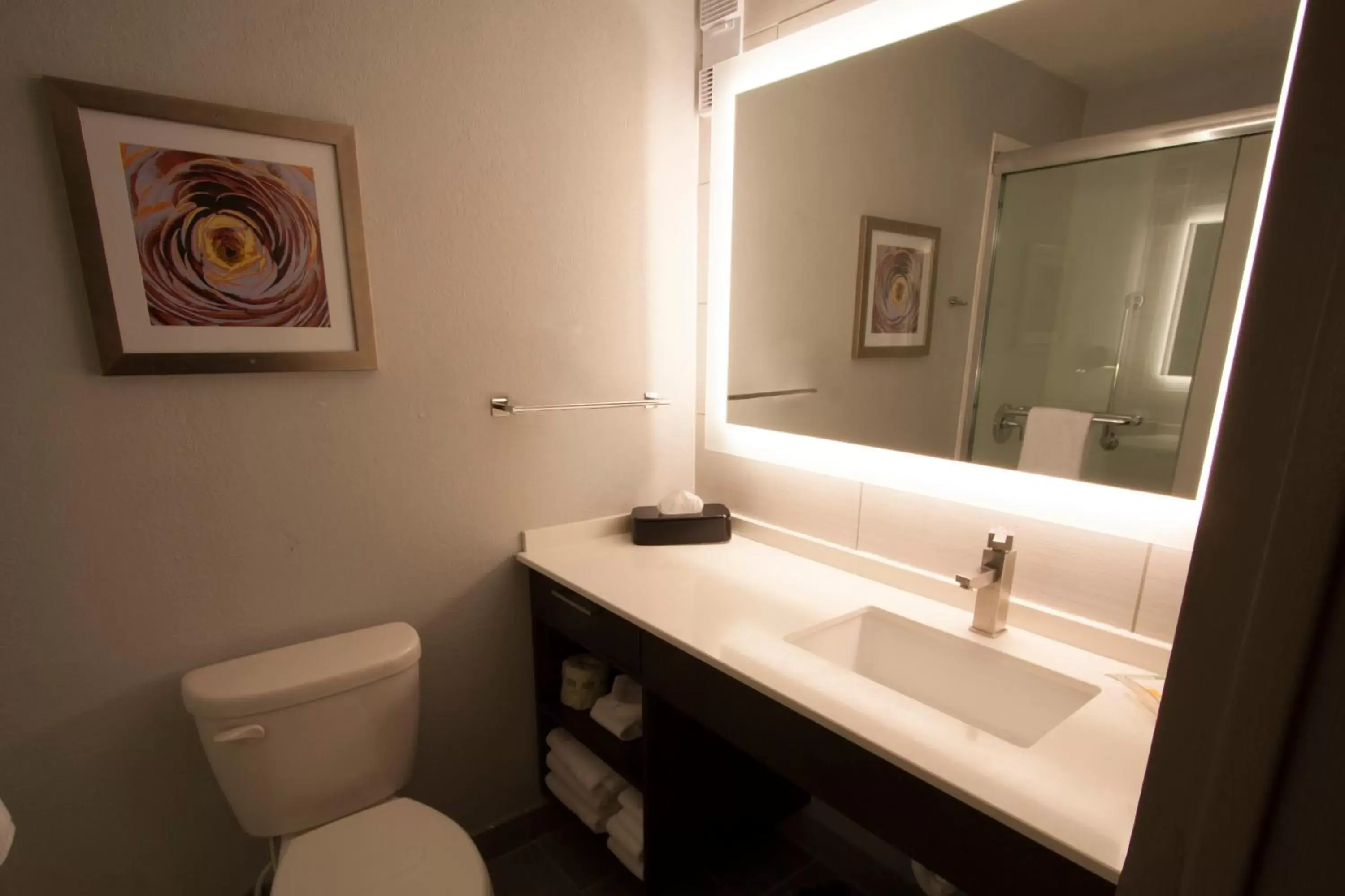 Bathroom in Holiday Inn Alexandria - Downtown, an IHG Hotel