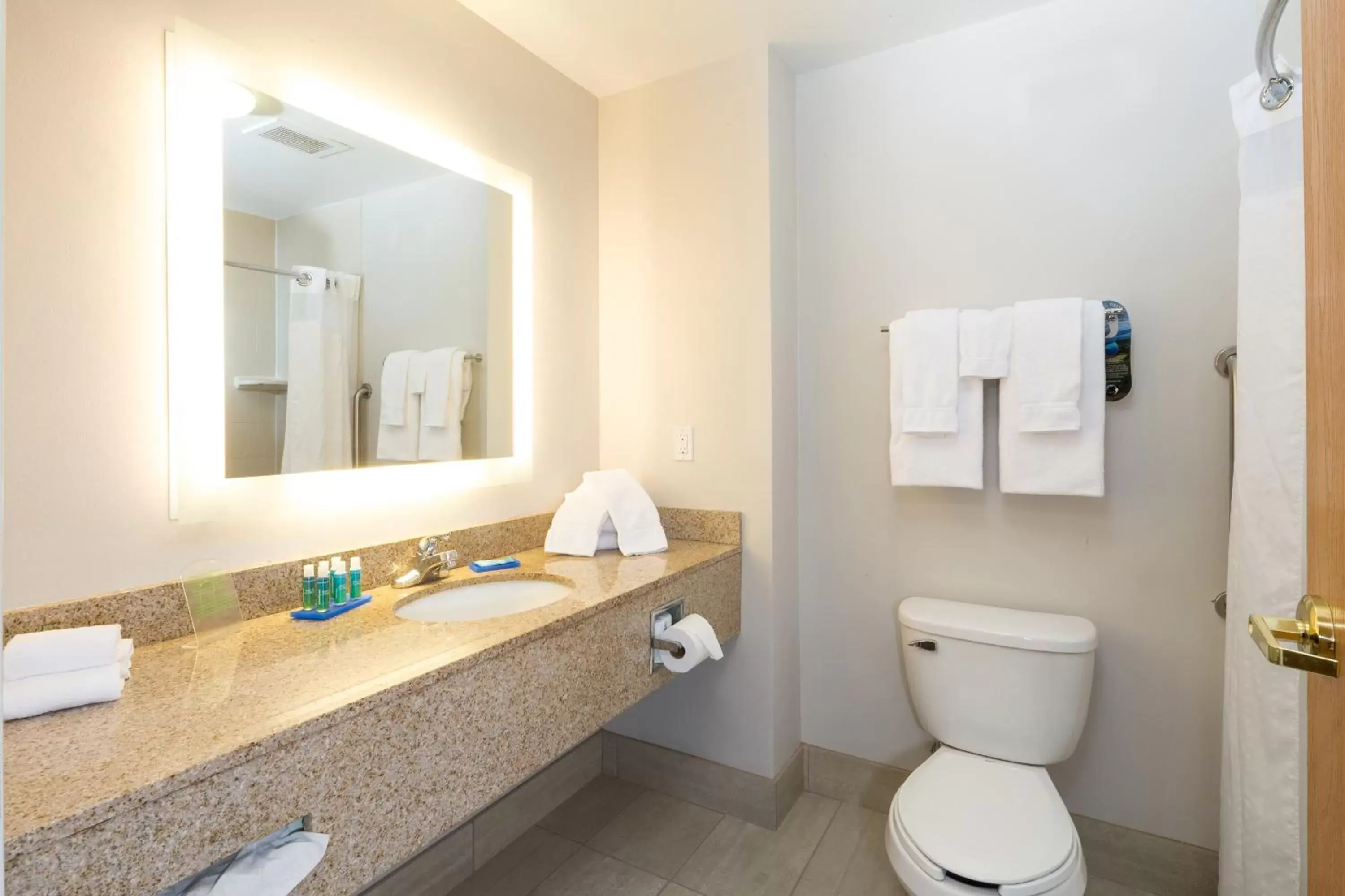 Bathroom in Holiday Inn Express Hotel & Suites Detroit-Utica, an IHG Hotel