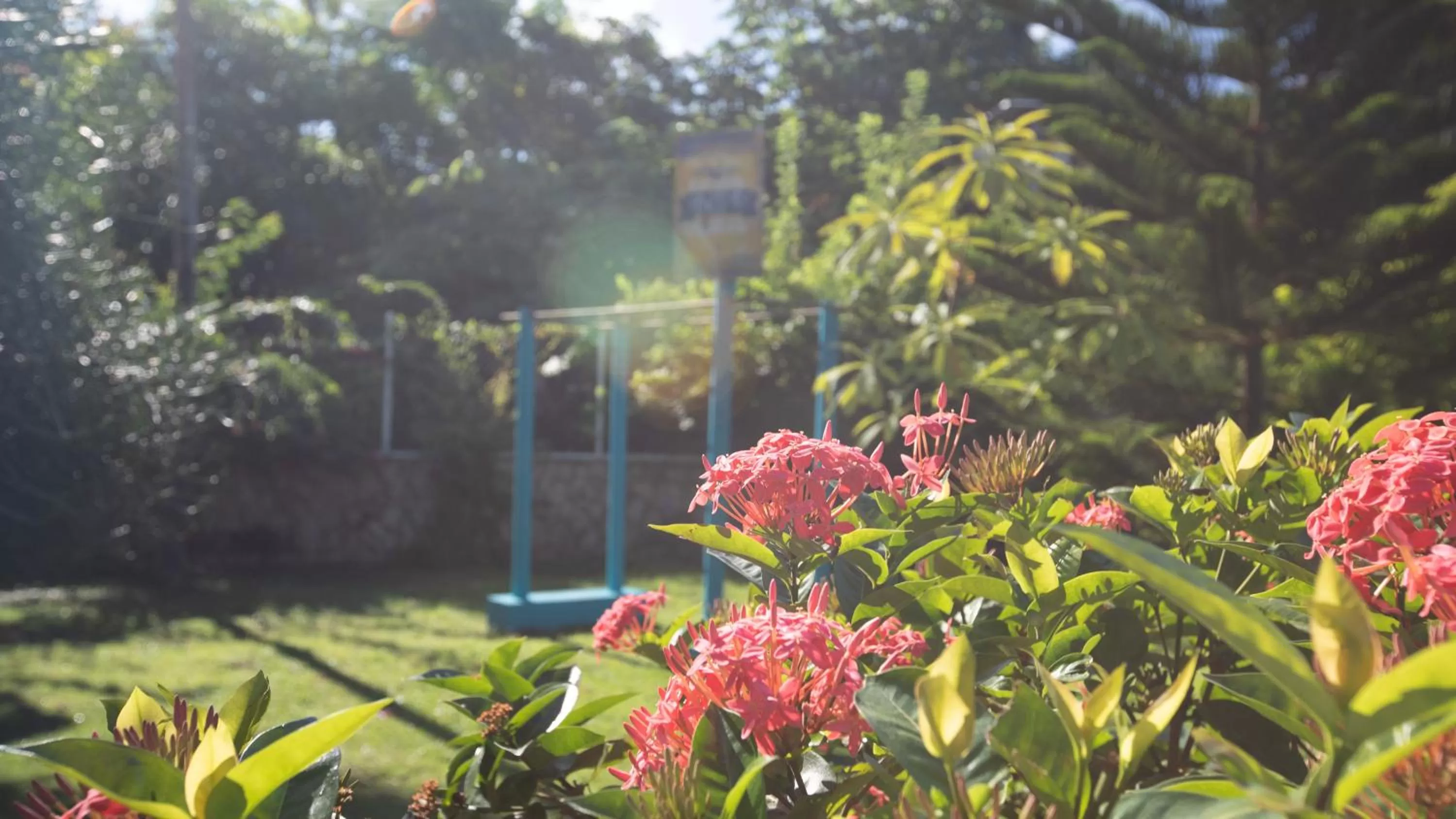 Garden in Hosteria Mar y Sol