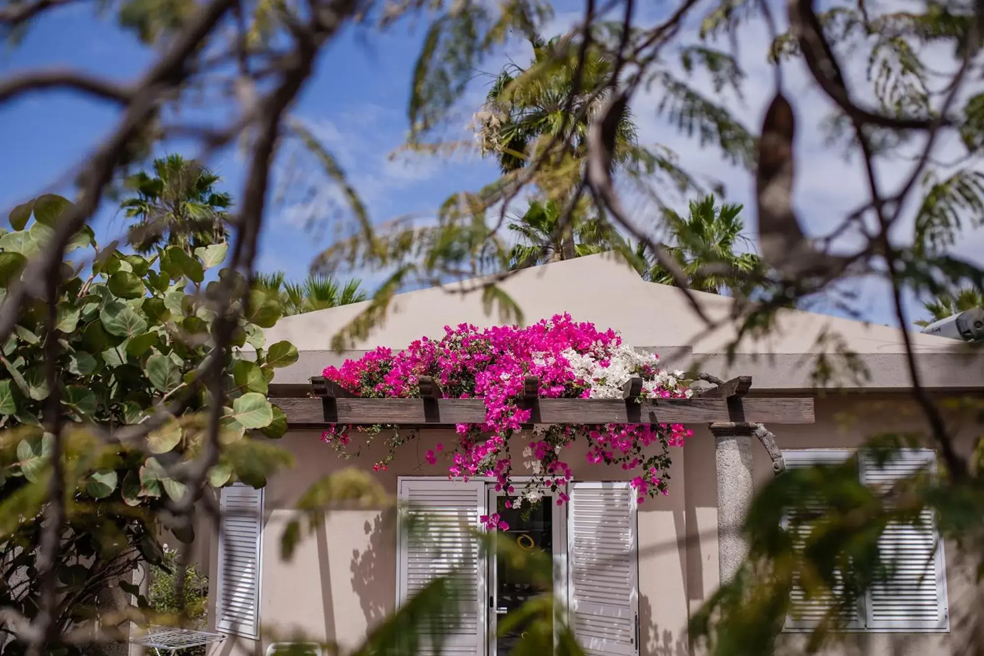 Balcony/Terrace, Property Building in Caybeach Princess