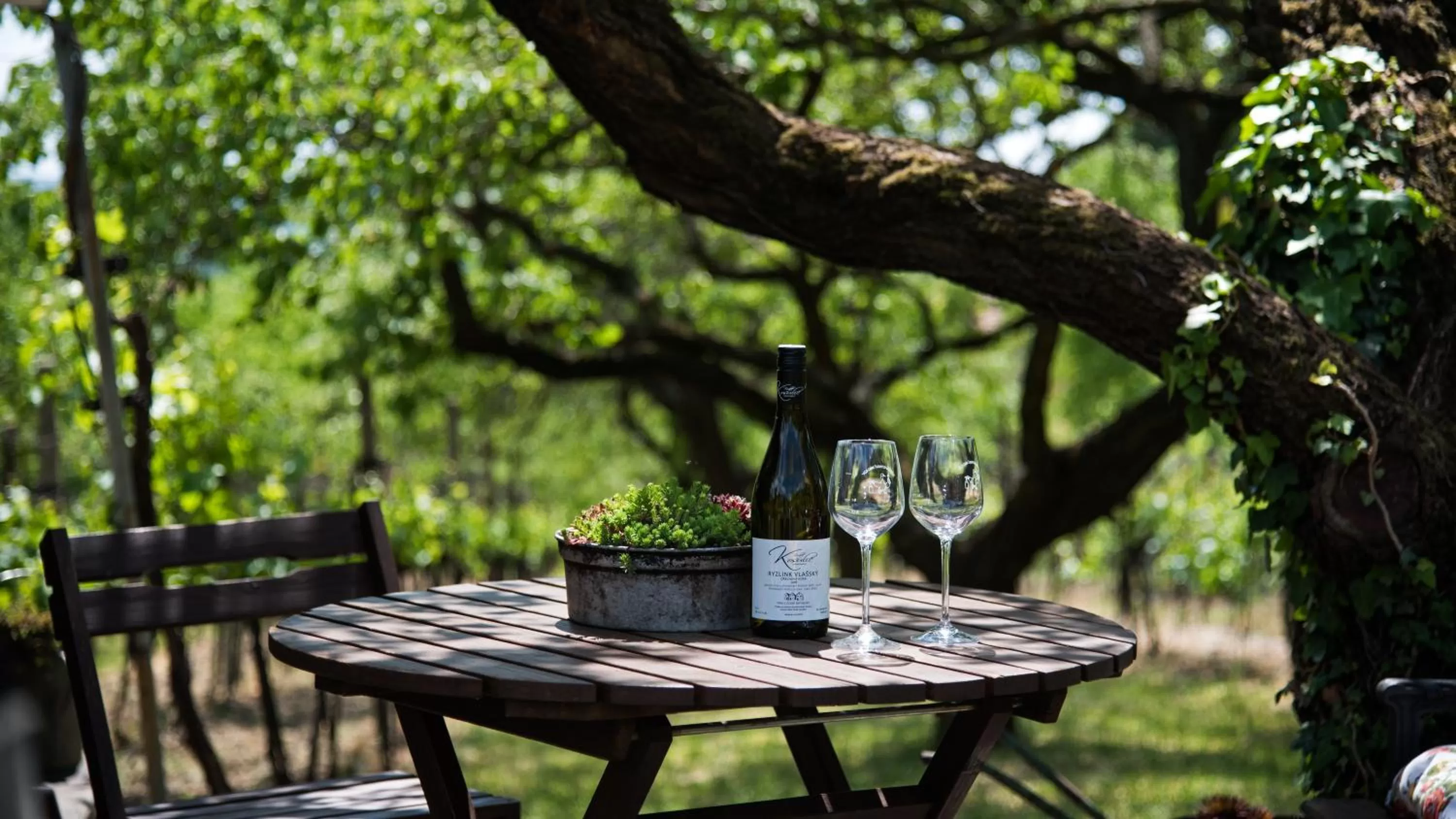 Patio in Boutique Hotel Golf Garni