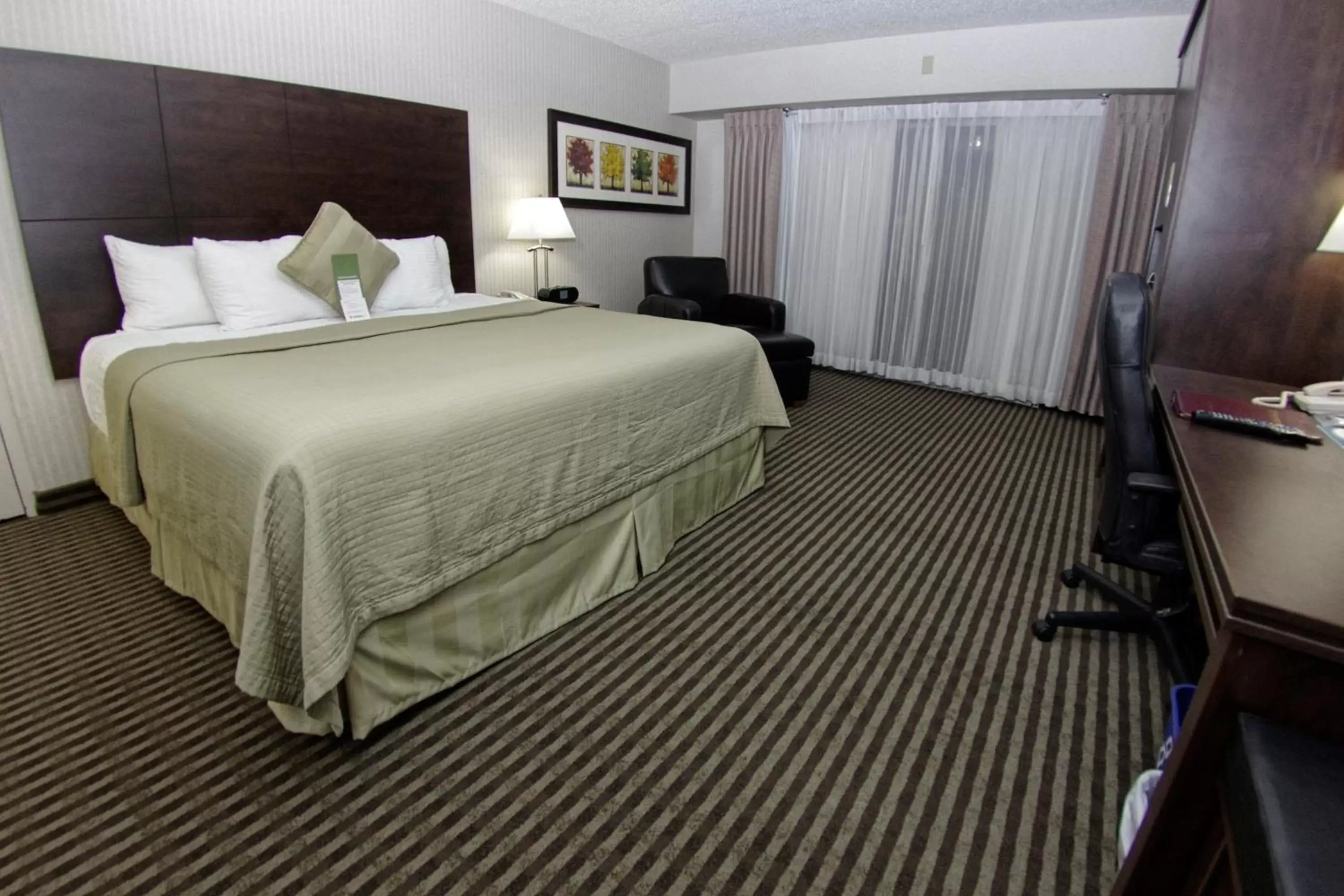 Photo of the whole room, Bed in Victoria Inn Hotel & Convention Centre Brandon