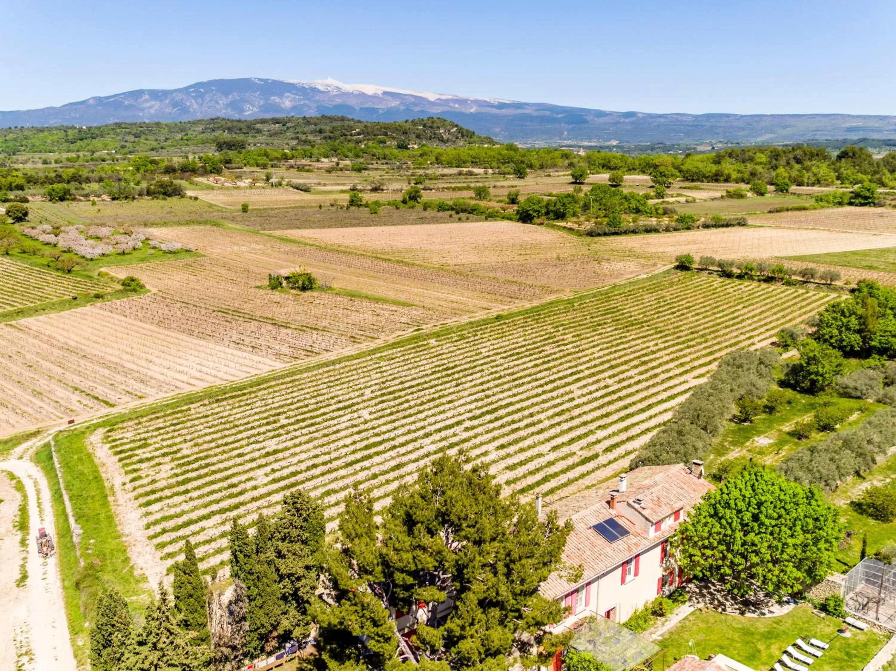 Bird's eye view in Le Mas de Plein Pagnier
