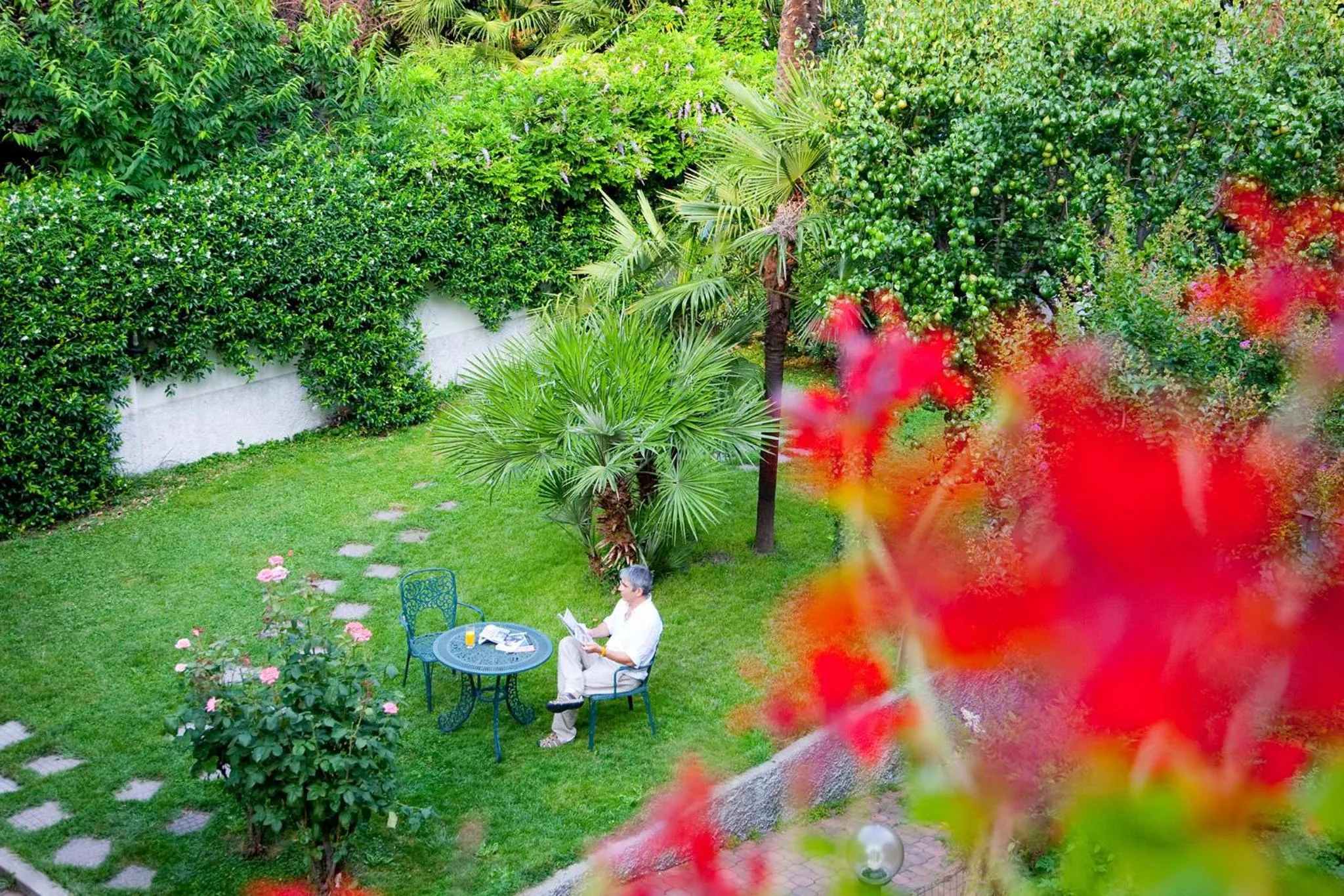 Garden in Hotel Charly