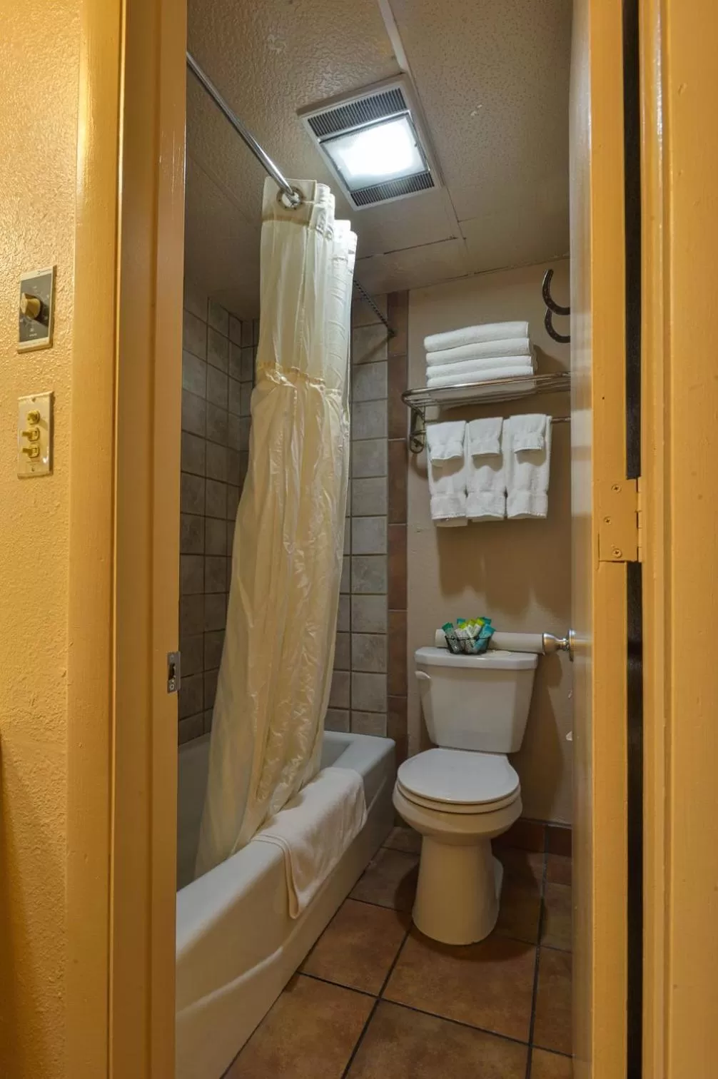 Shower in Rustic Inn