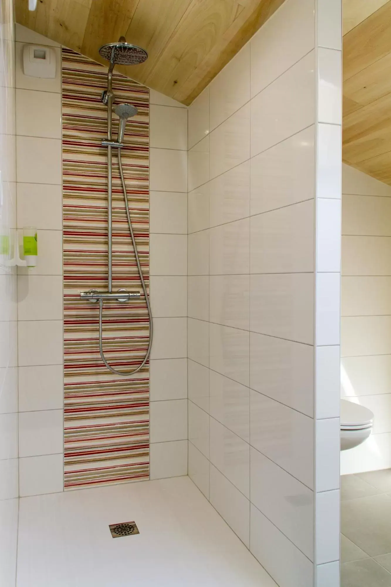 Shower, Bathroom in Le Puy Carmin - Chambre d'hôtes avec jacuzzi