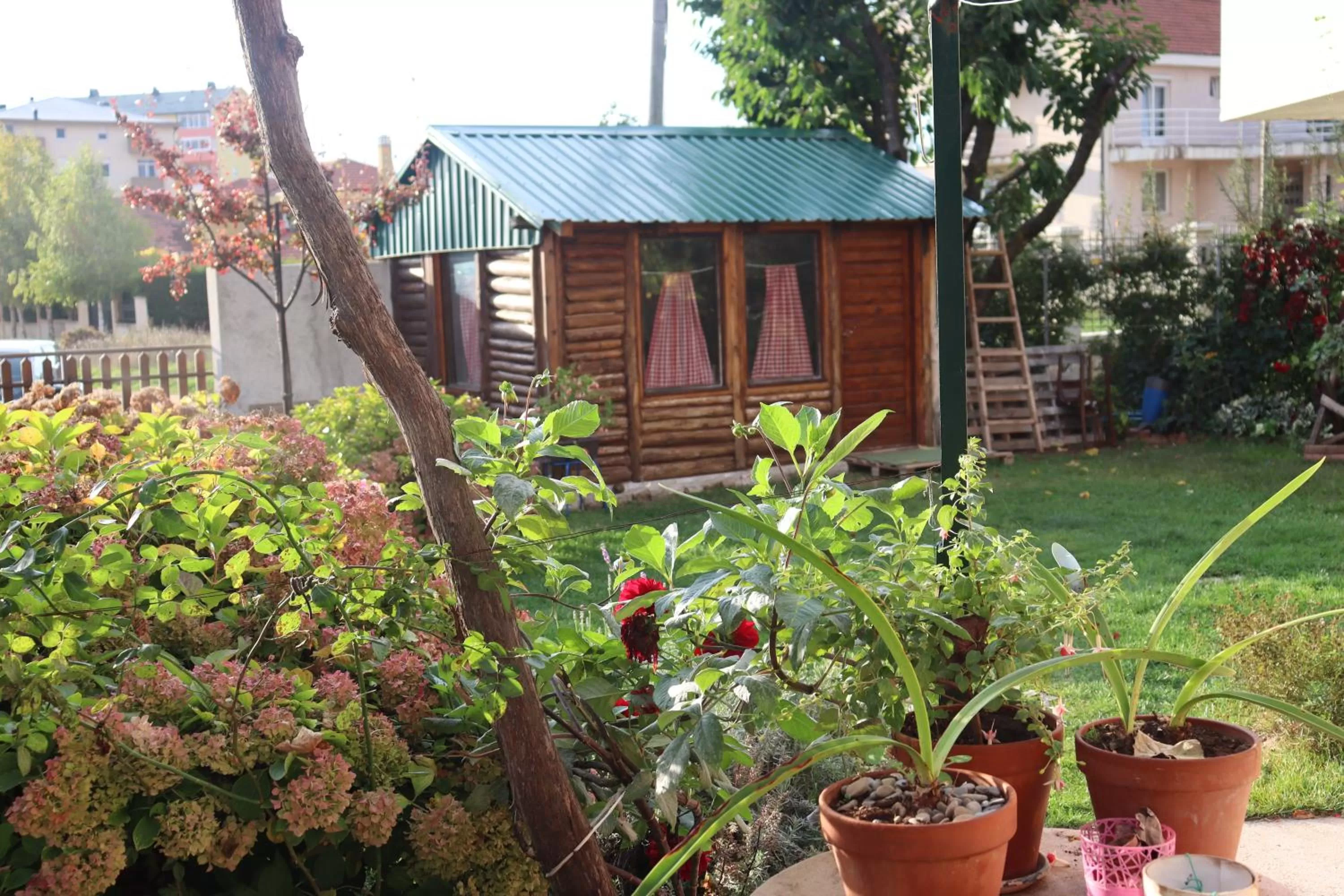 Property Building in Frile Apartments