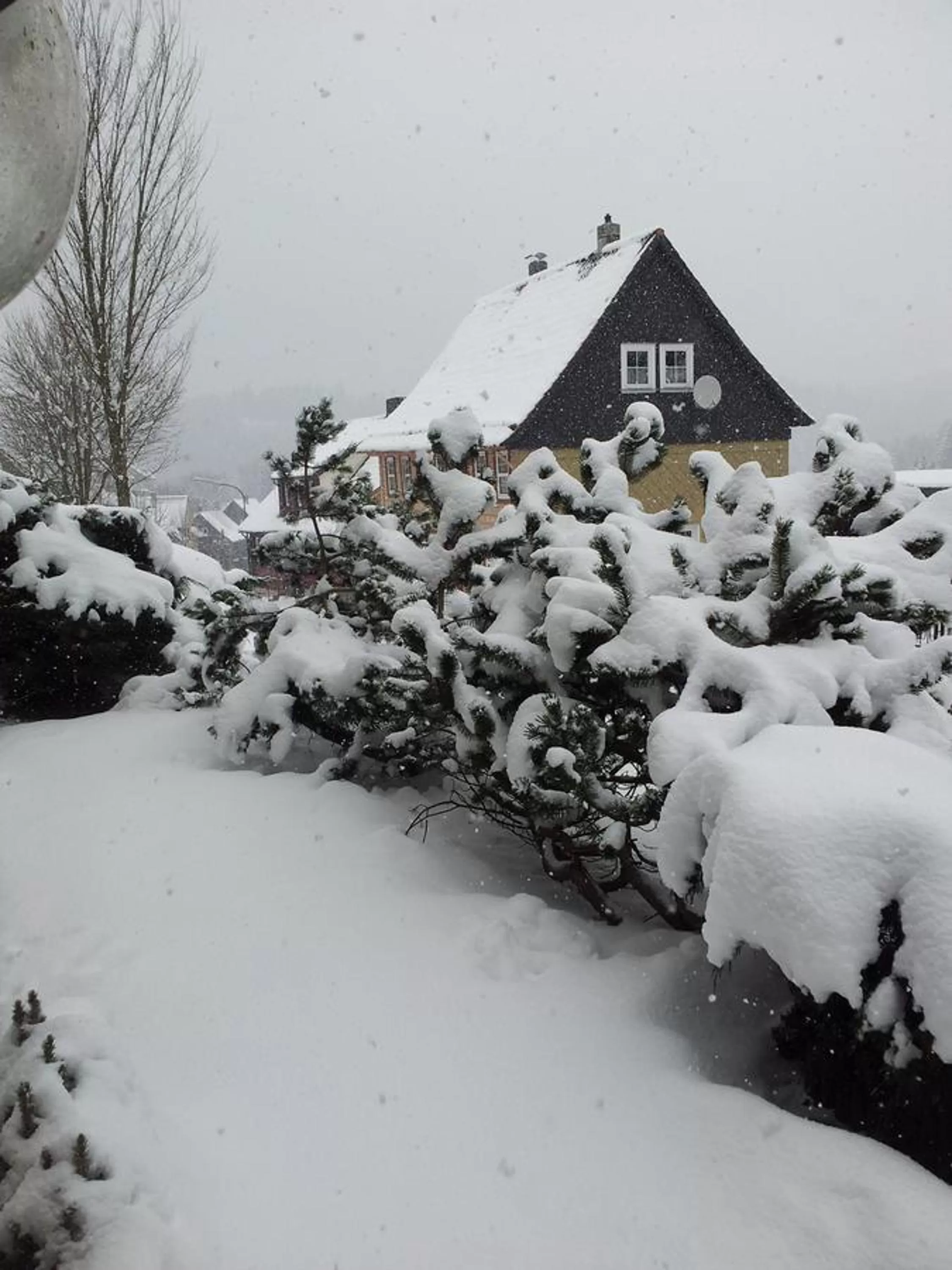 Winter in B&B Orchidee