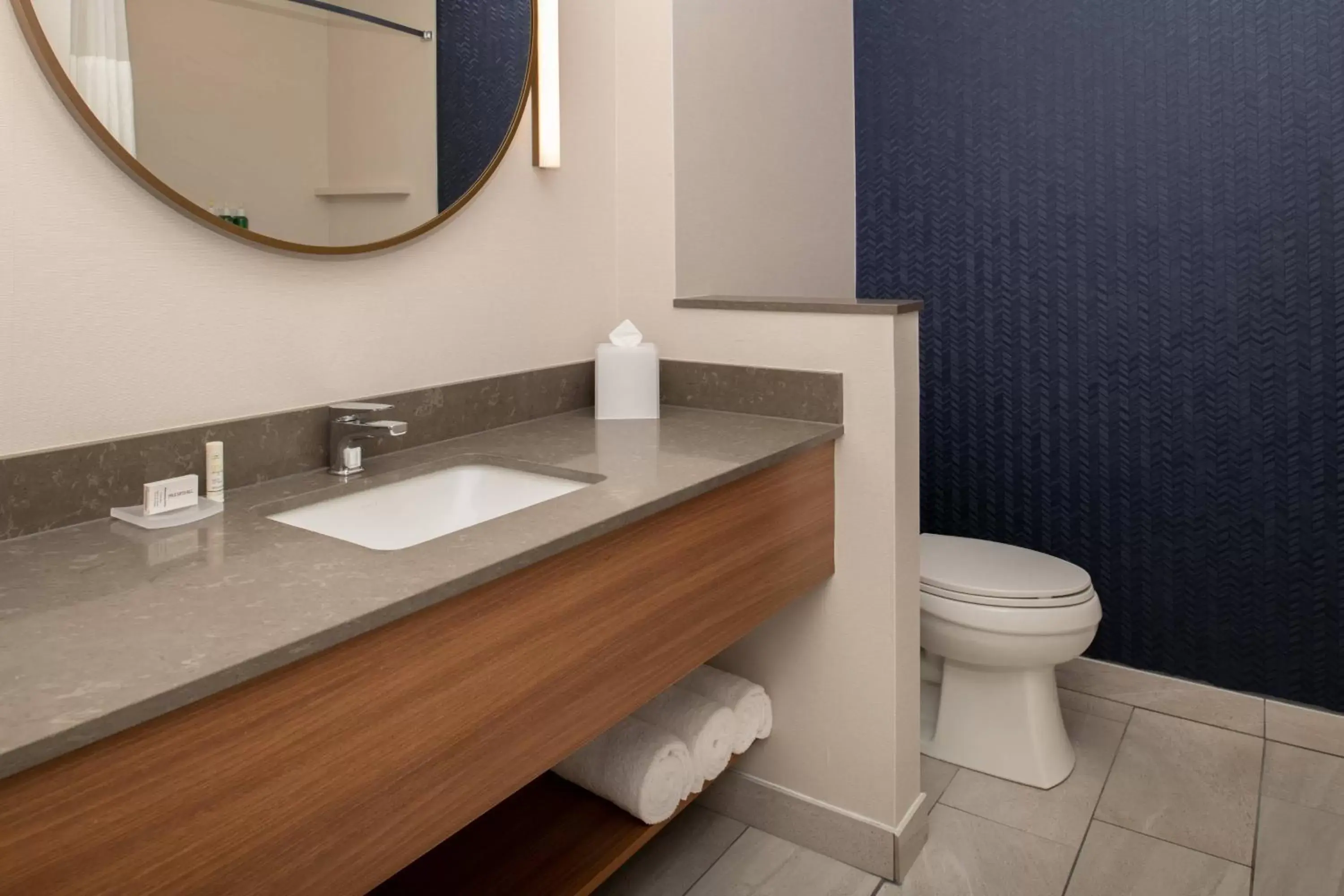 Bathroom in Fairfield Inn & Suites by Marriott Wenatchee