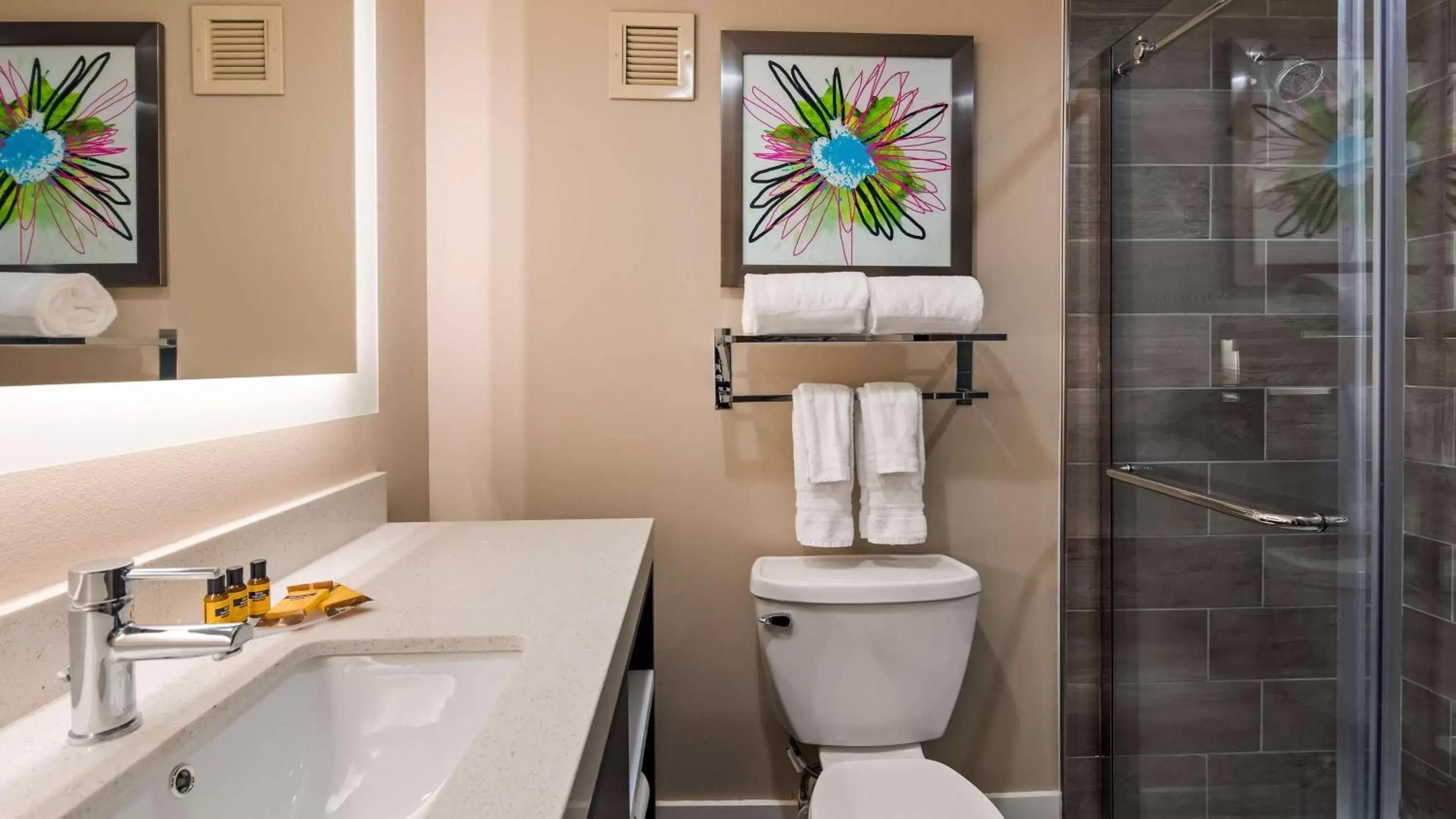 Bathroom in Best Western Plus Greenville I-385 Inn & Suites