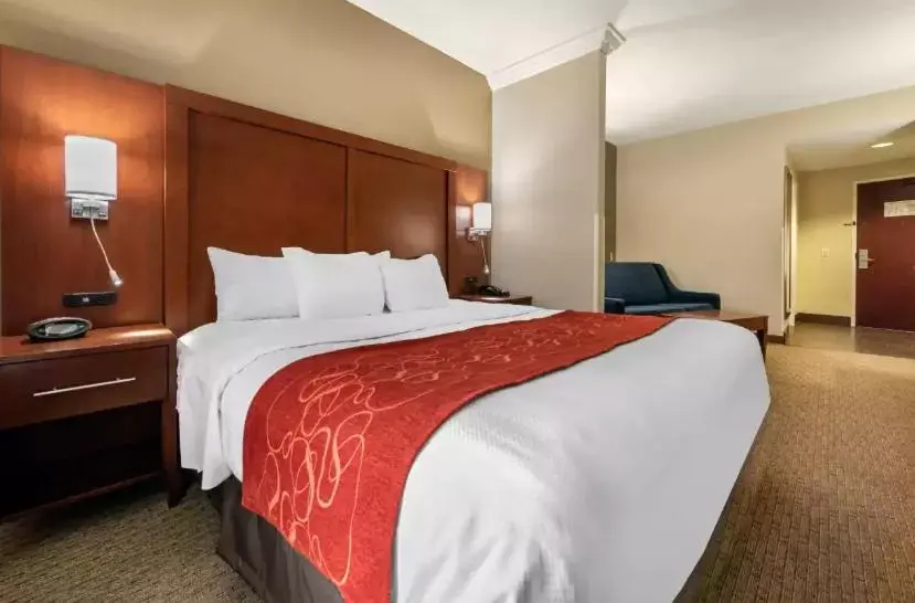 King Suite - Accessible/Non-Smoking in Holiday Inn Express & Suites Hebron - Cincinnati Airport by IHG King Suite - Accessible/Non-Smoking in Holiday Inn Express & Suites Hebron - Cincinnati Airport by IHG