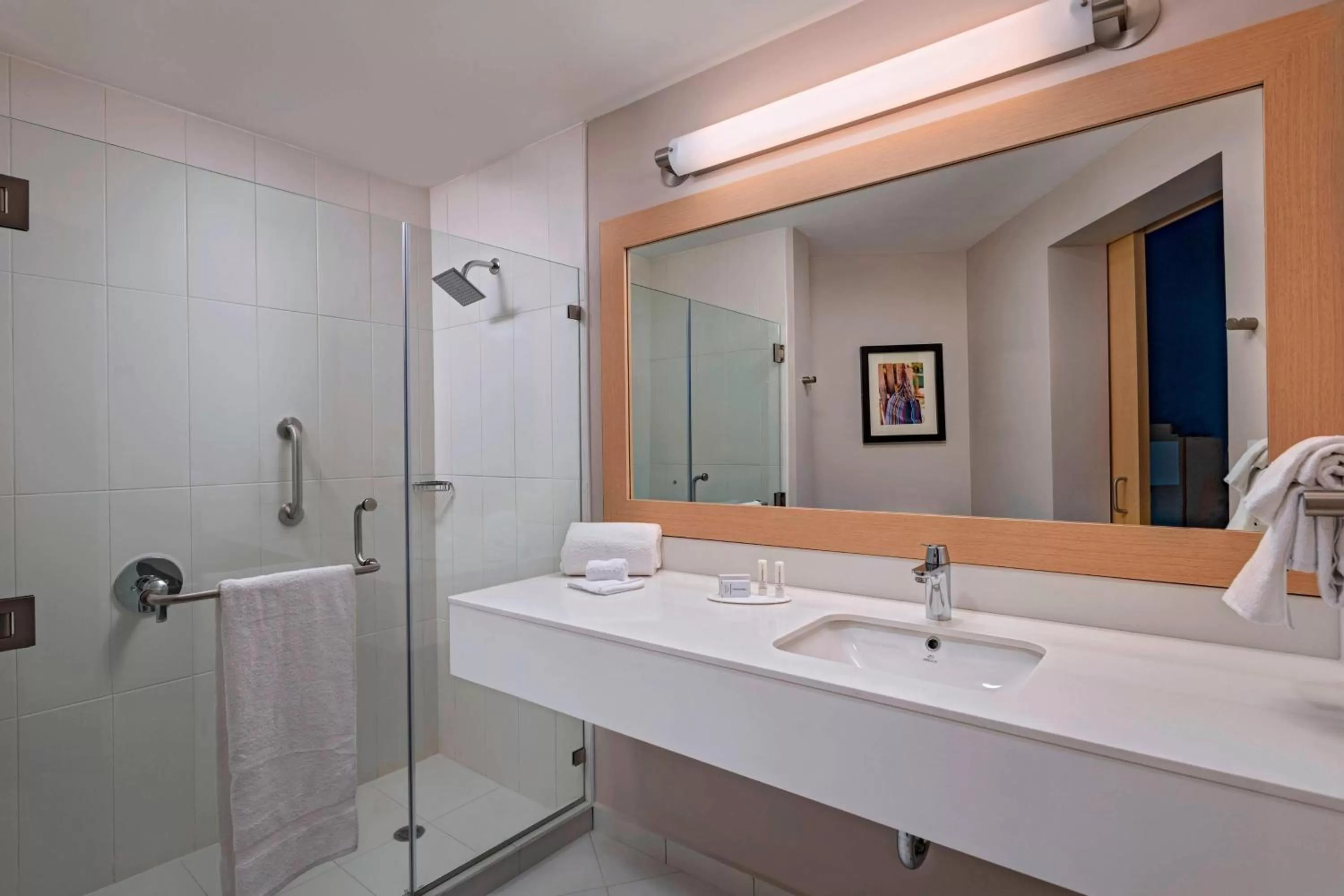 Bathroom in Fairfield by Marriott San Salvador