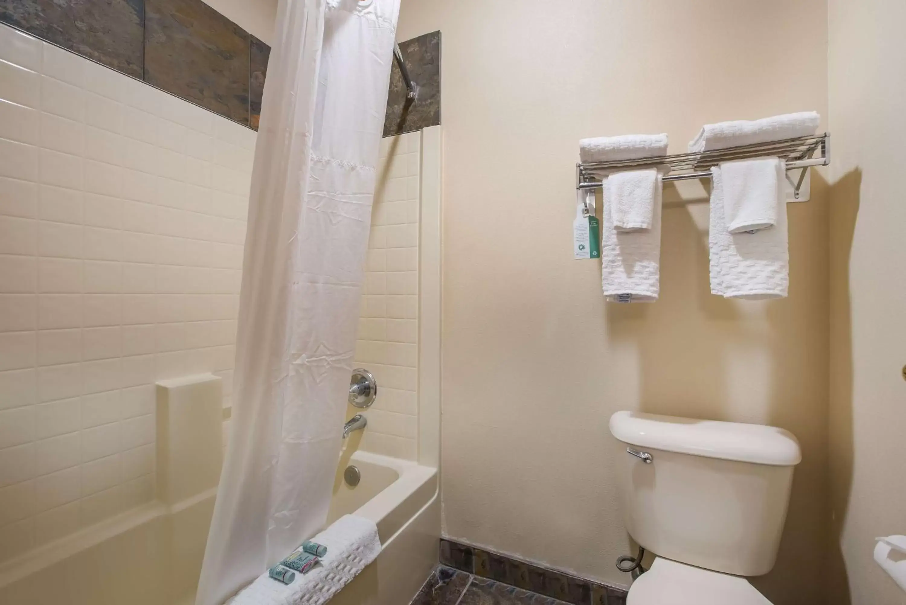 Bathroom in Best Western Northwest Lodge