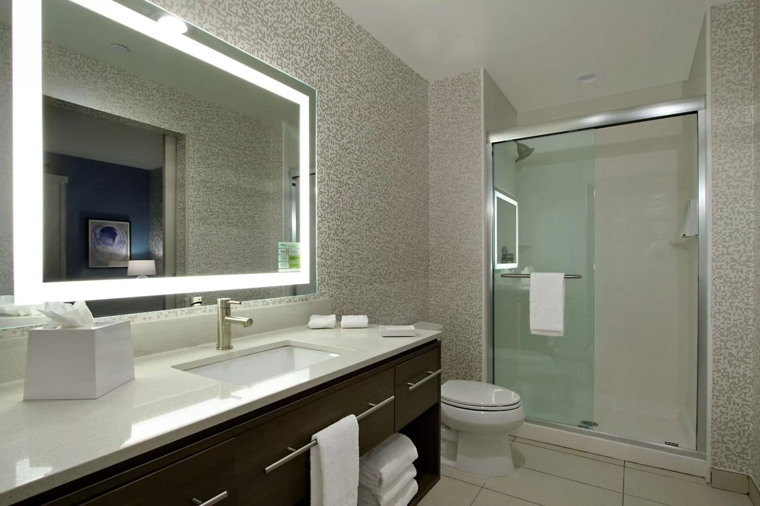 Bathroom in Home2 Suites By Hilton Beaumont, Tx