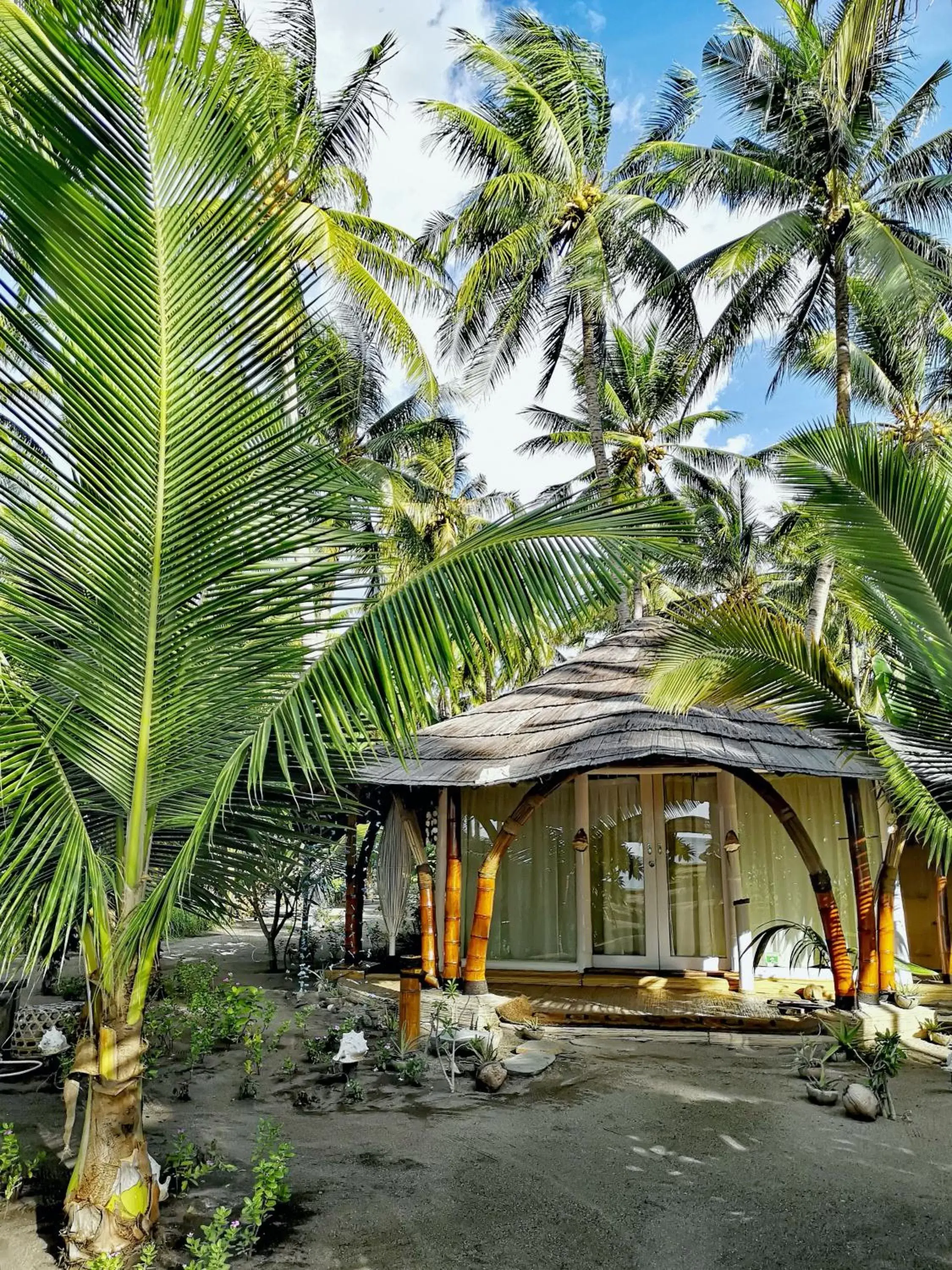 View (from property/room), Property Building in Coconut Garden Beach Resort