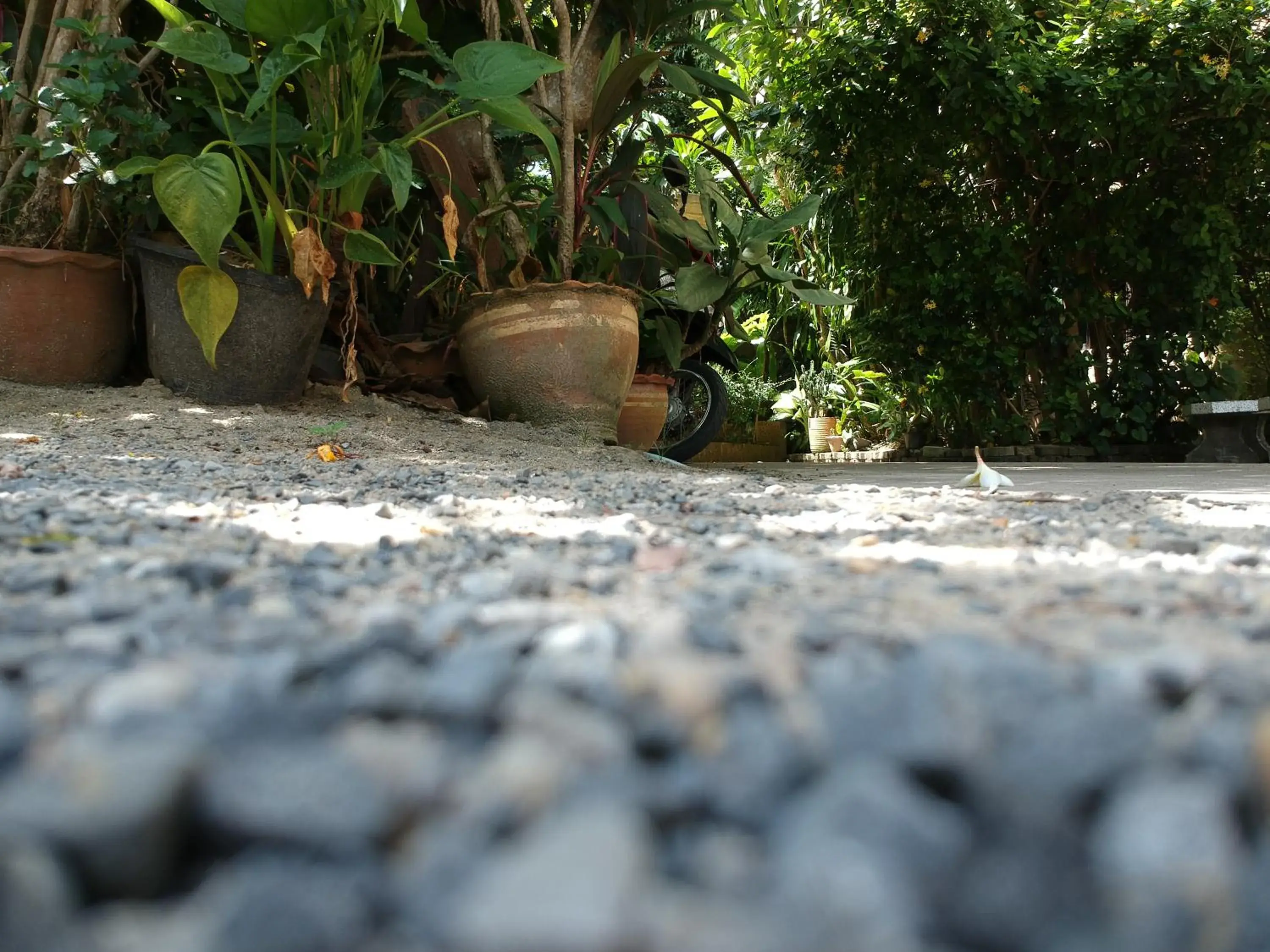 Natural landscape in Bonny Hotel