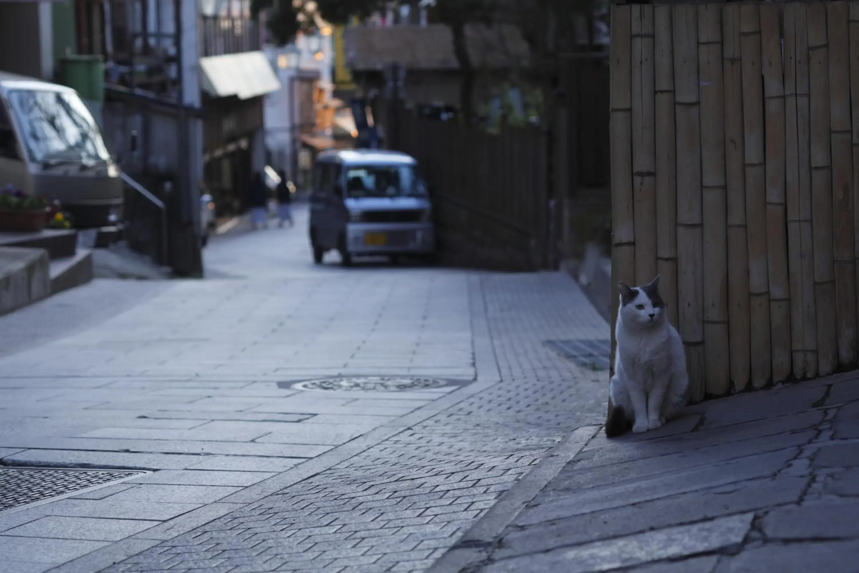 Area and facilities, Pets in Shibu Onsen Sakaeya